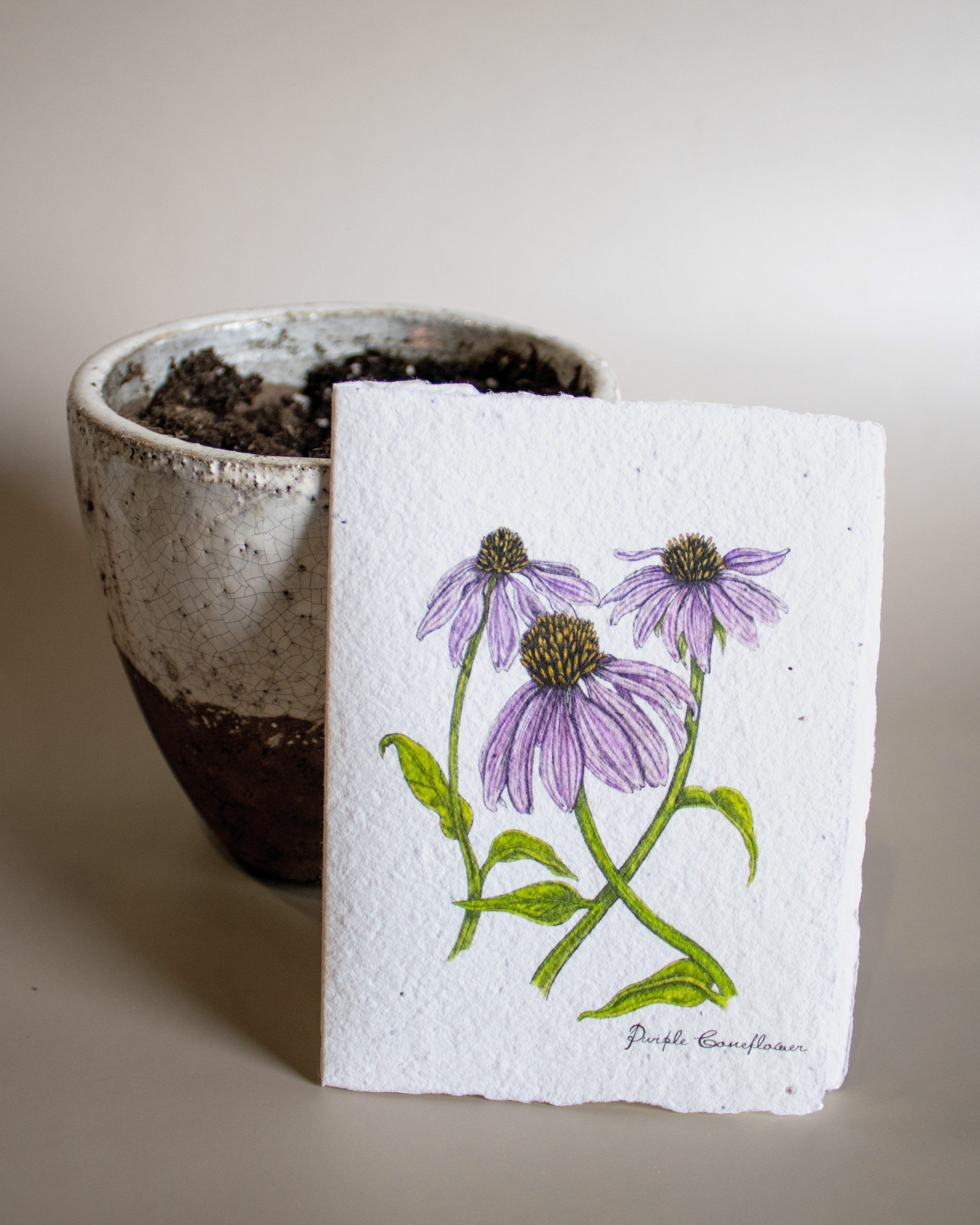Plantable Botanical Greeting Cards