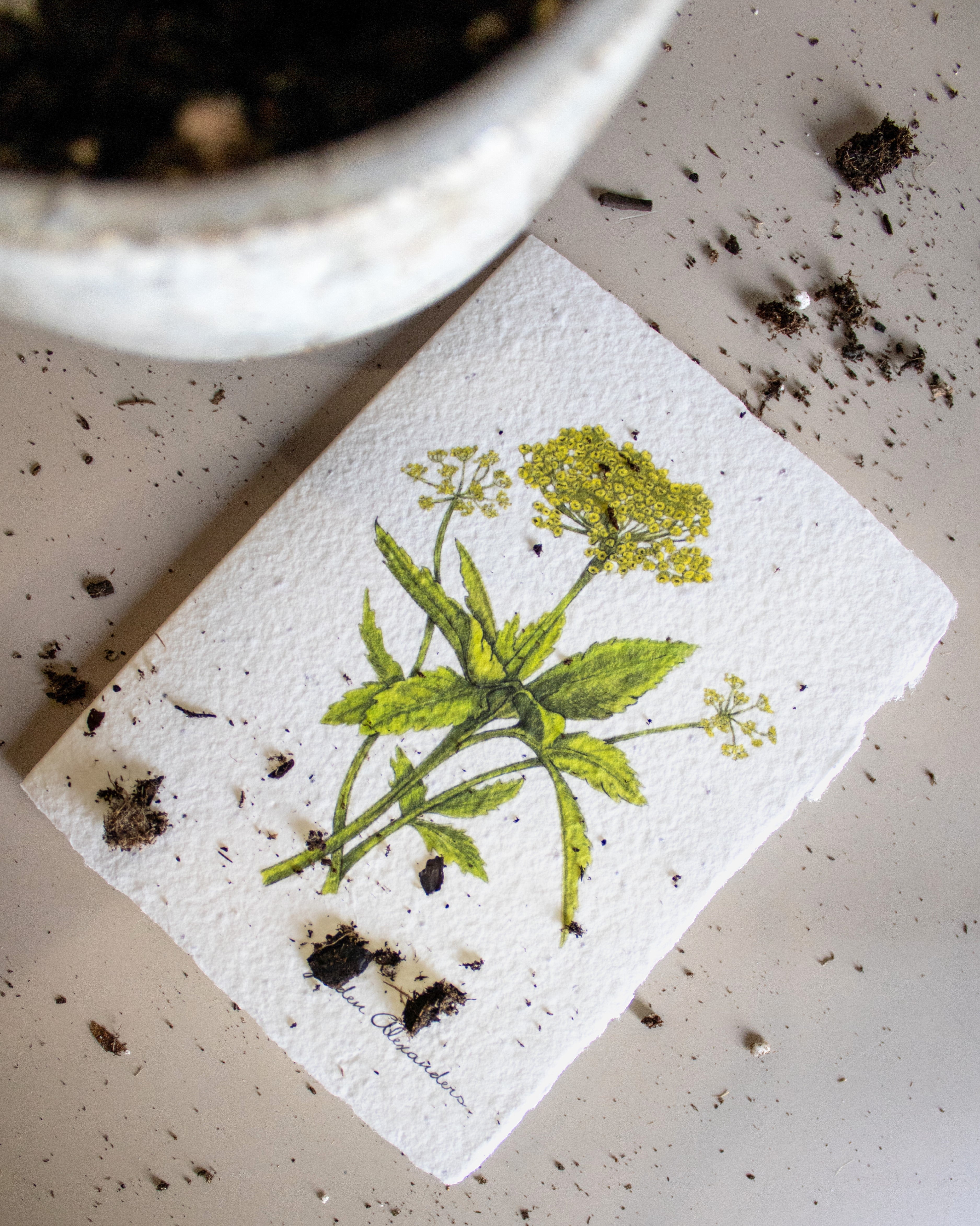 Plantable Botanical Greeting Cards