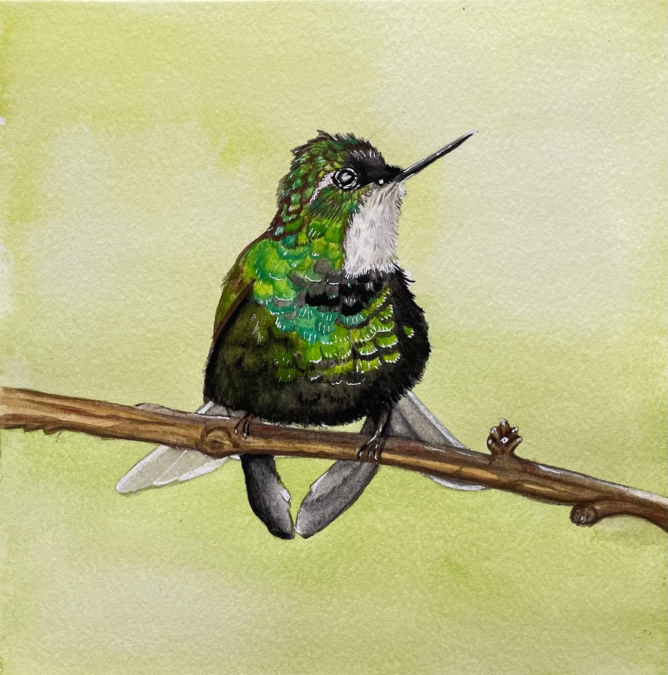 Limited Edition "Resting" Print