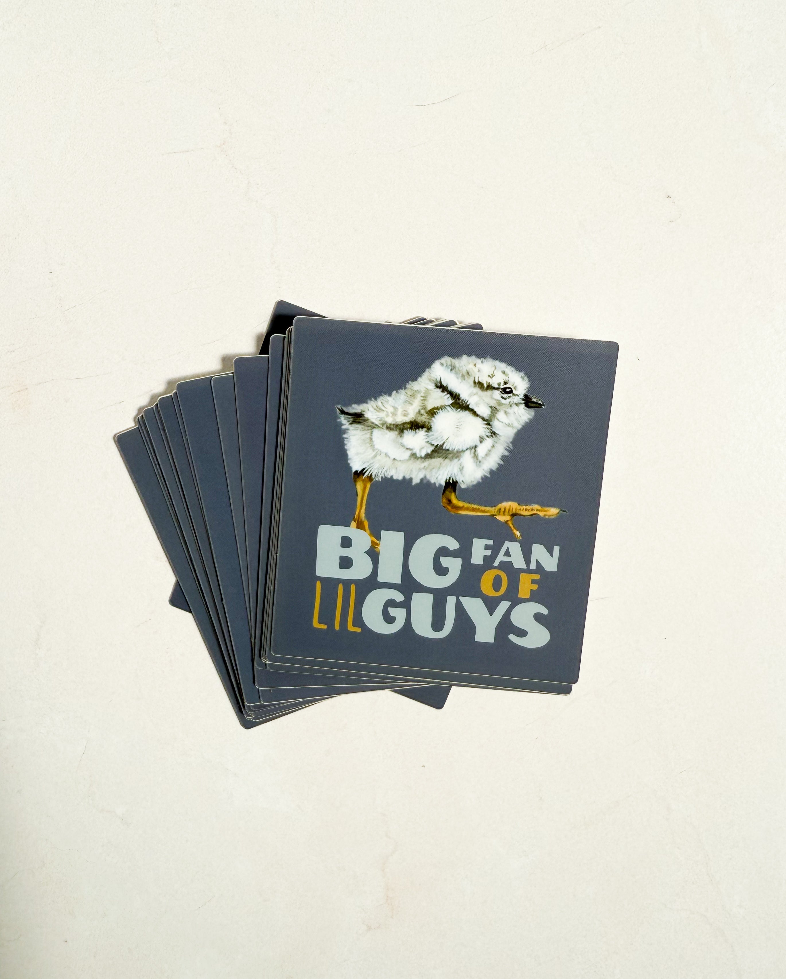 "Big Fan of Lil Guys" Sticker