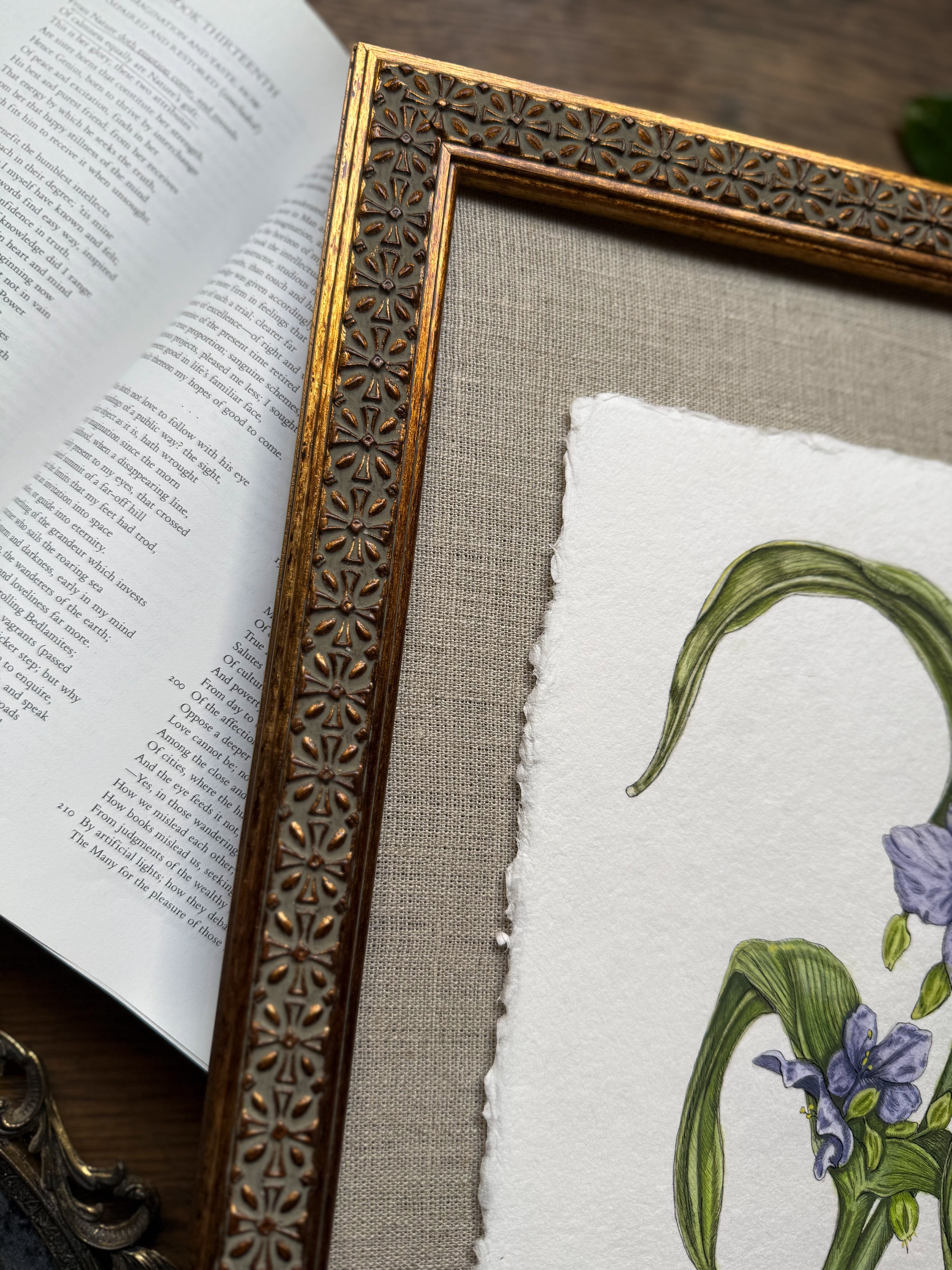 Framed Original Ohio Spiderwort