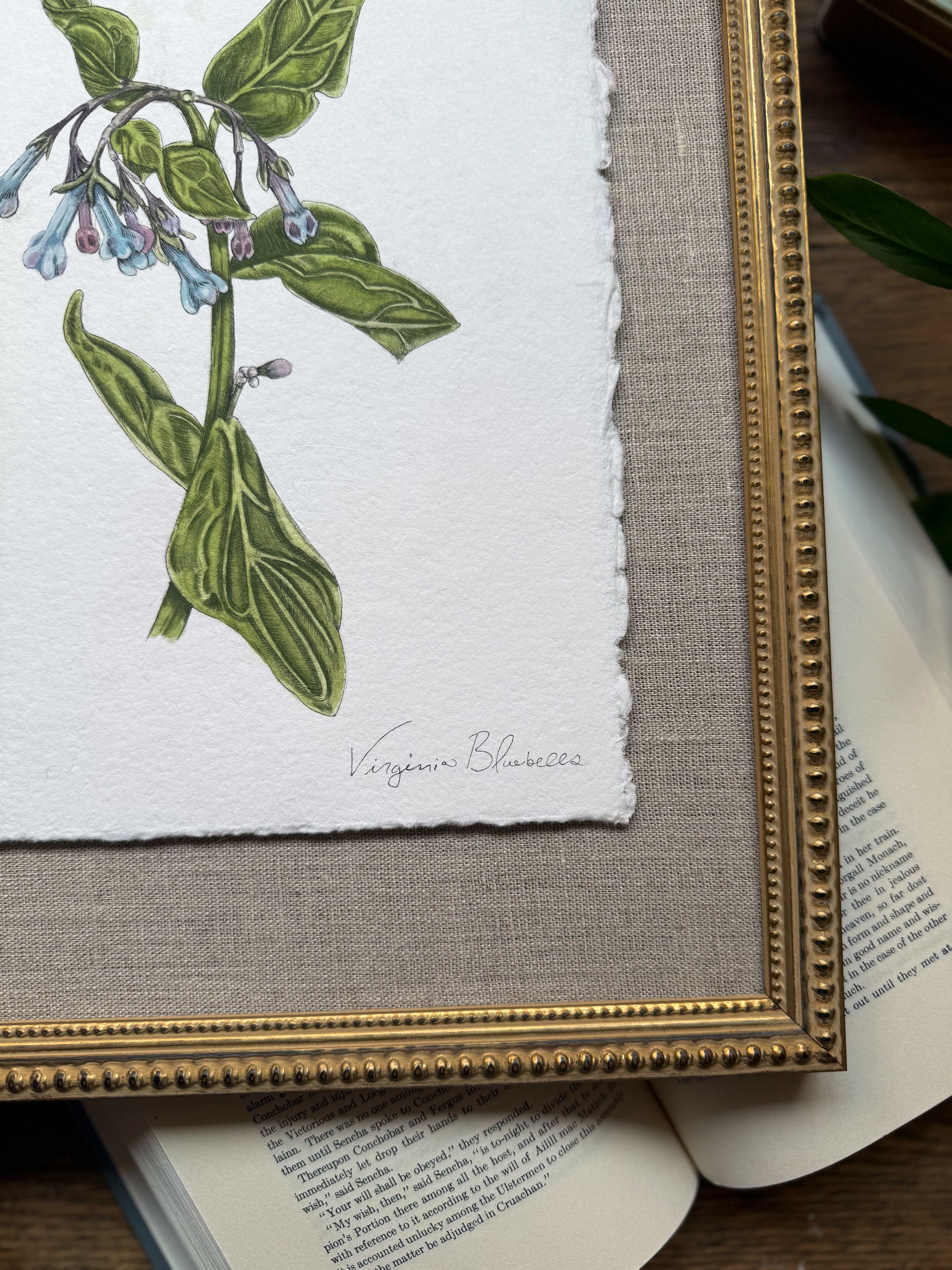 Framed Original Virginia Bluebell