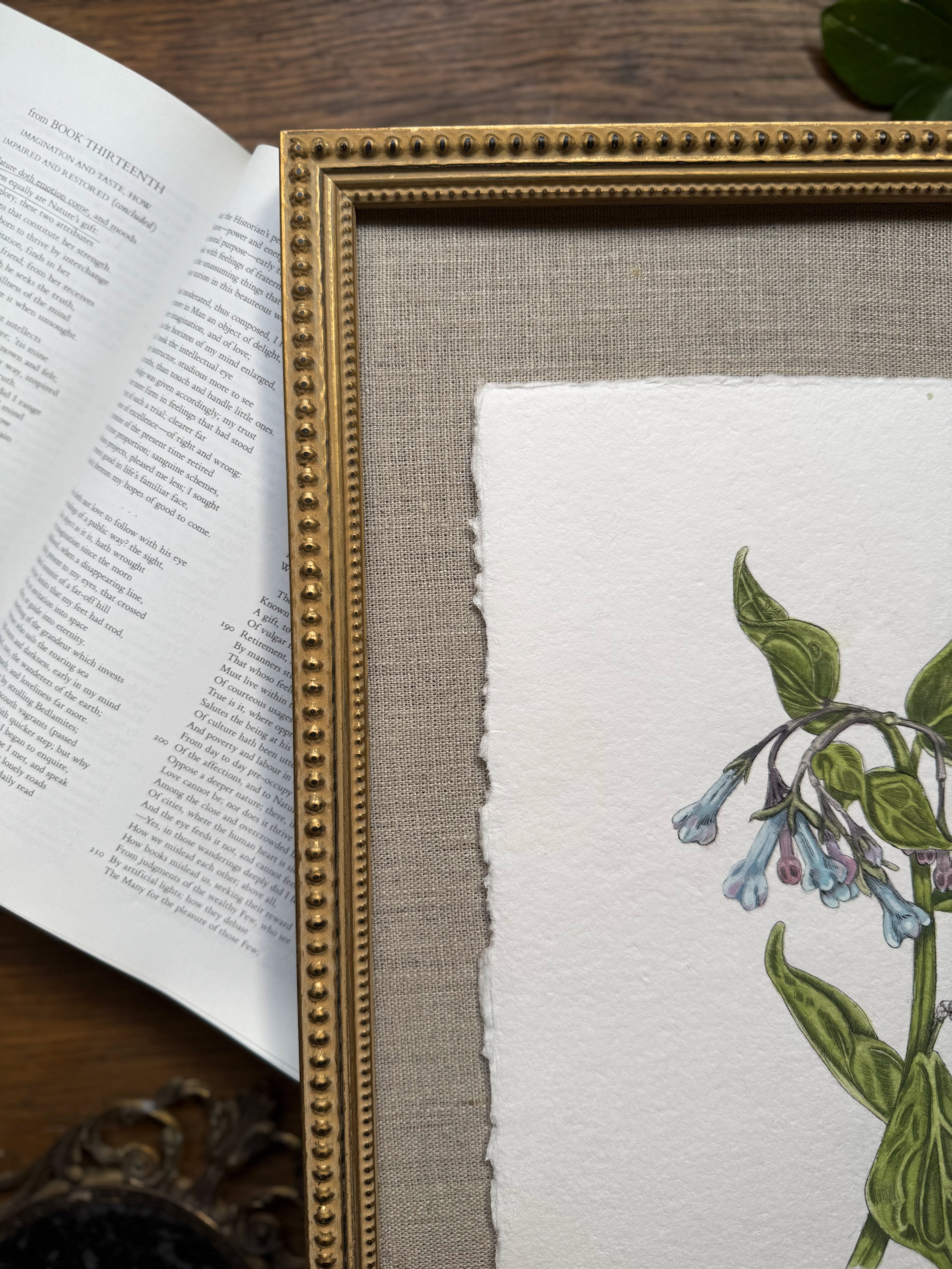 Framed Original Virginia Bluebell