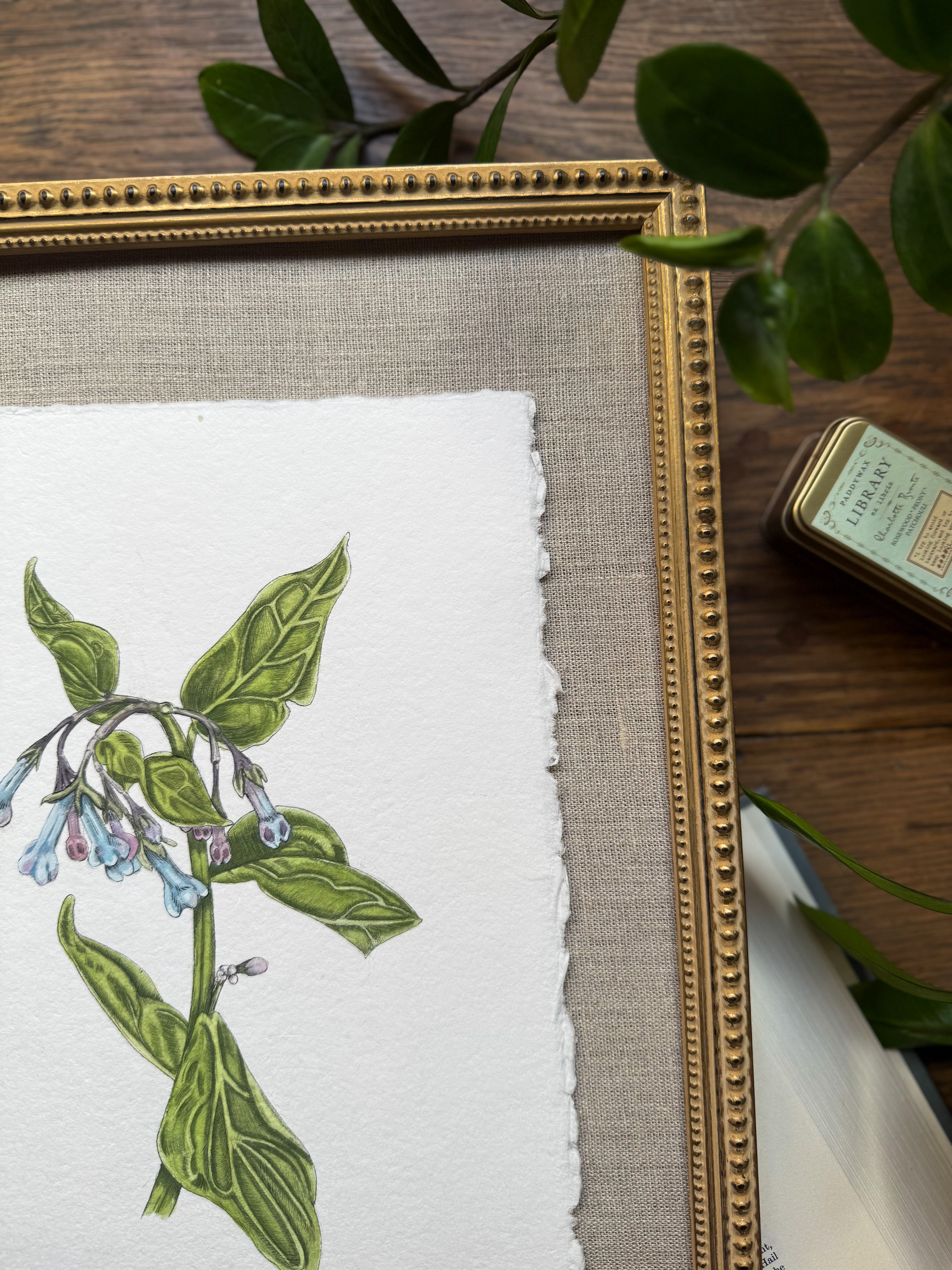 Framed Original Virginia Bluebell