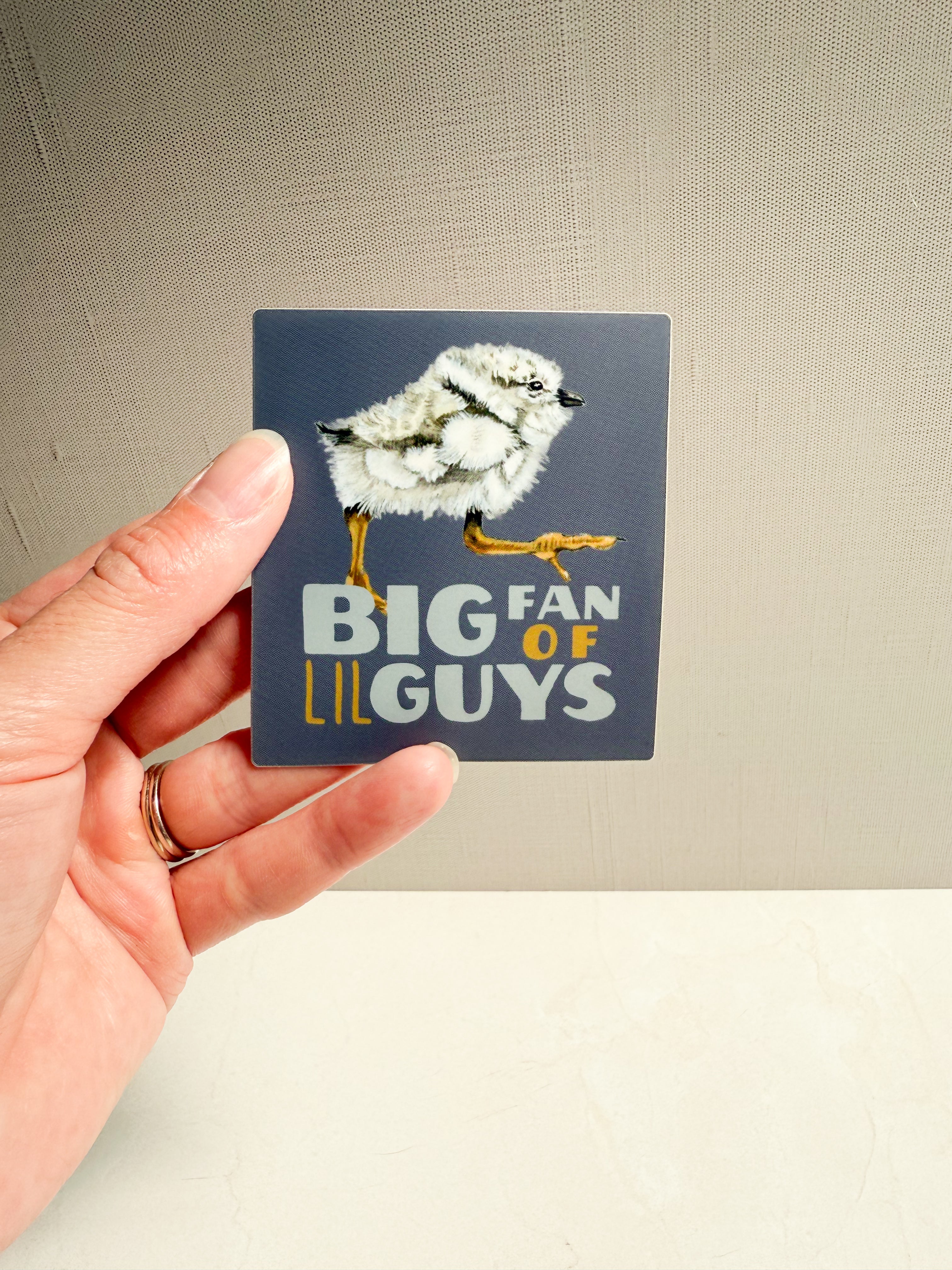 "Big Fan of Lil Guys" Sticker
