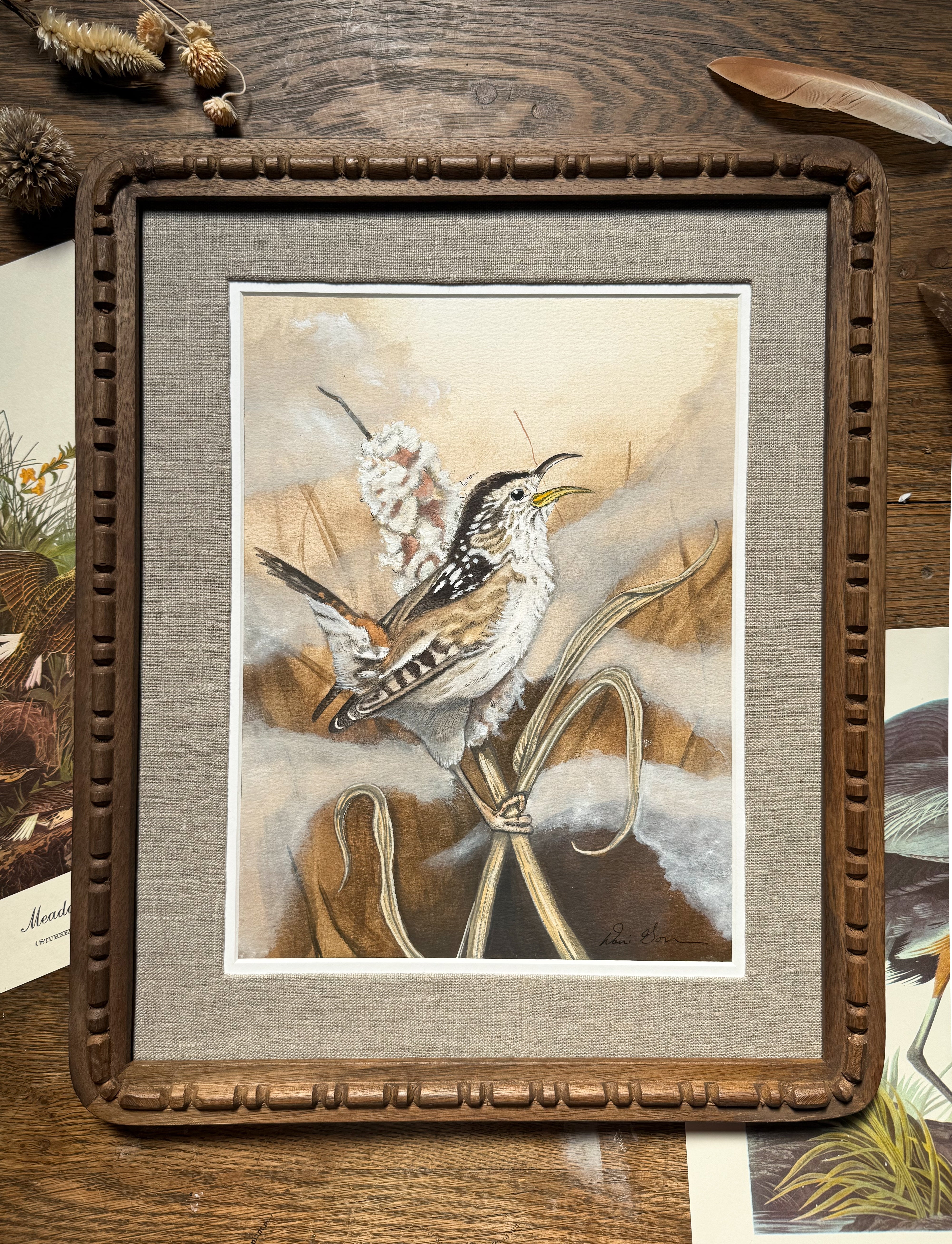"Morning Song" Marsh Wren Print