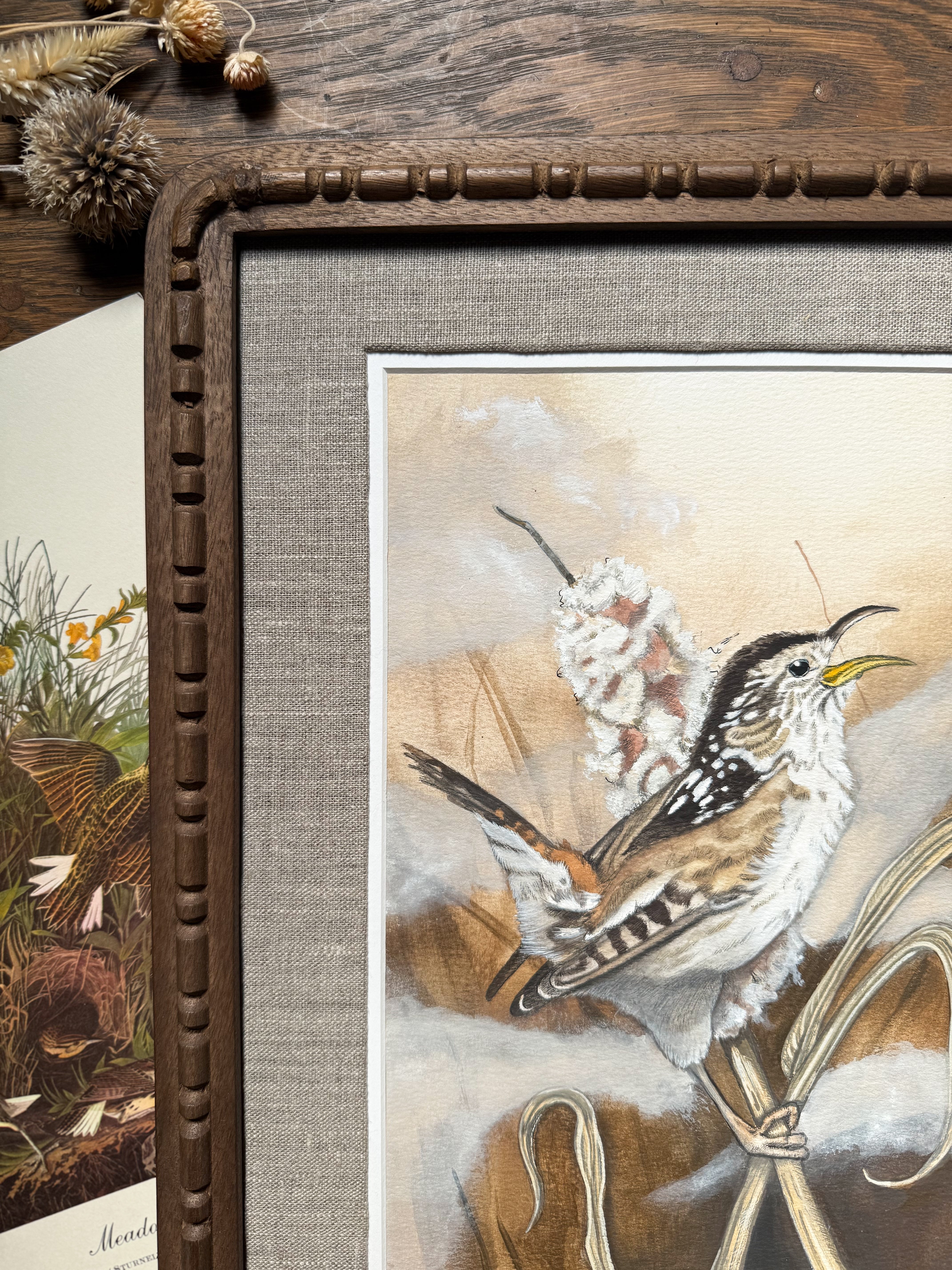 "Morning Song" Marsh Wren Print