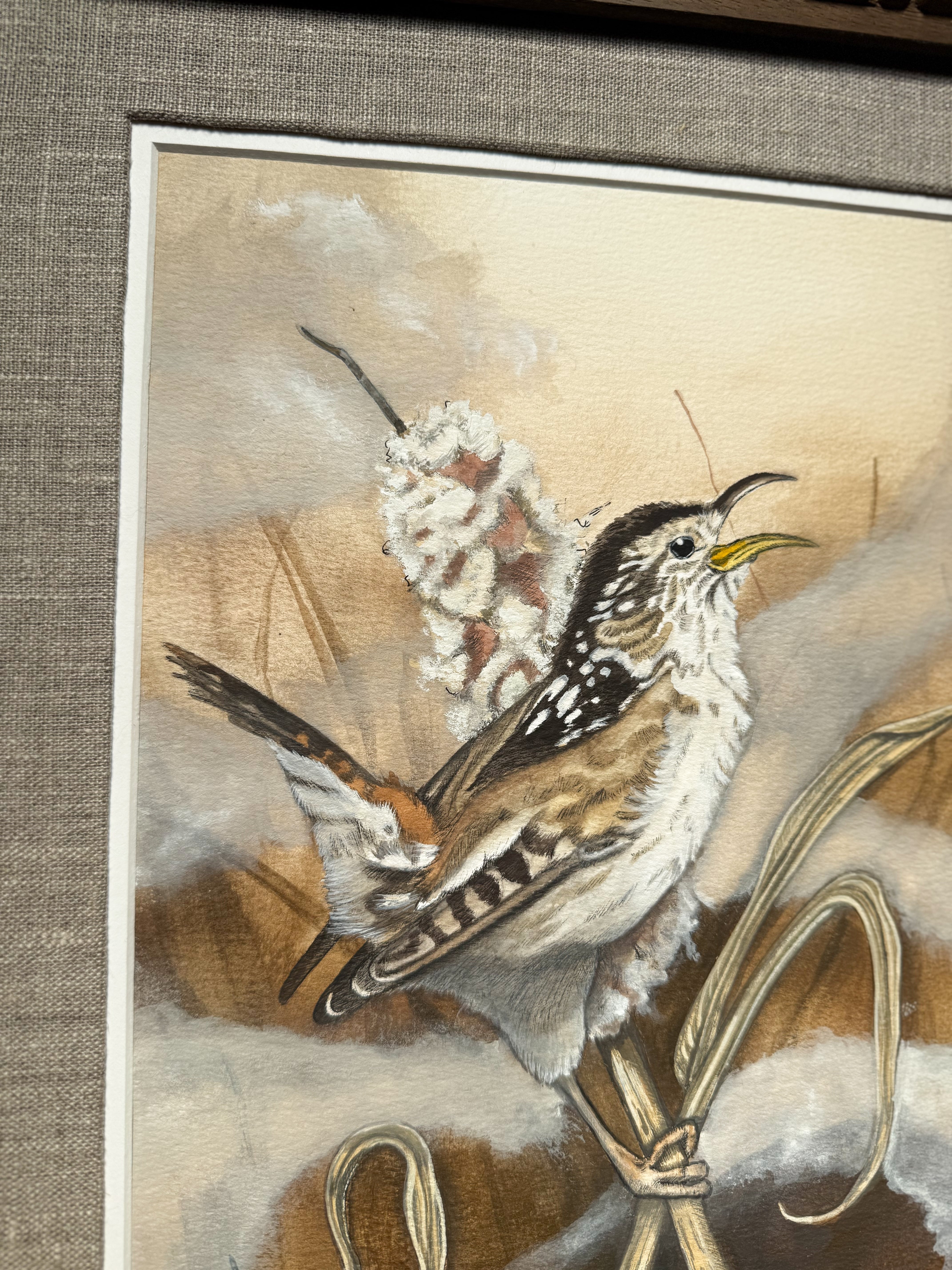 "Morning Song" Marsh Wren Print