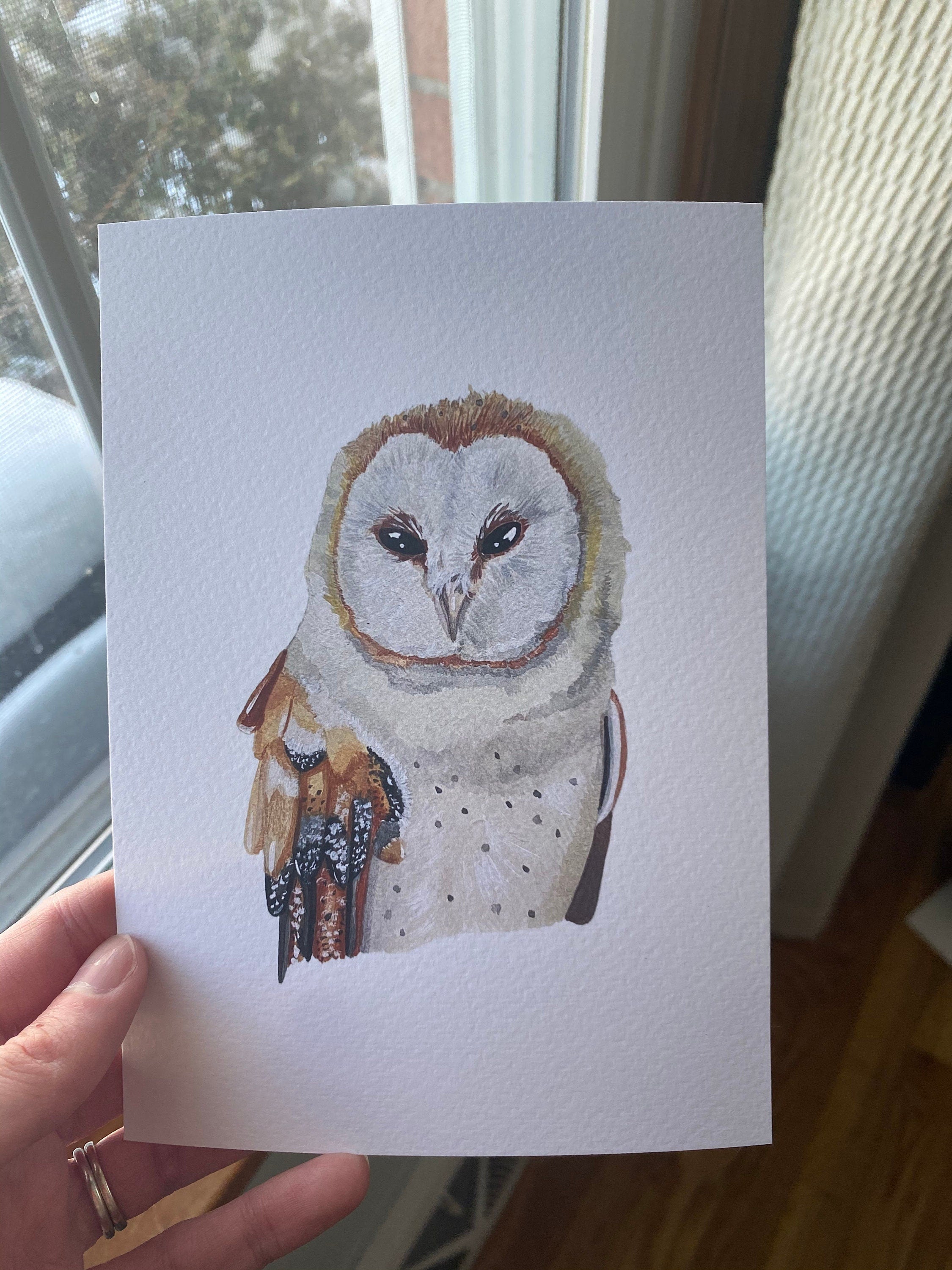 Barn Owl Print