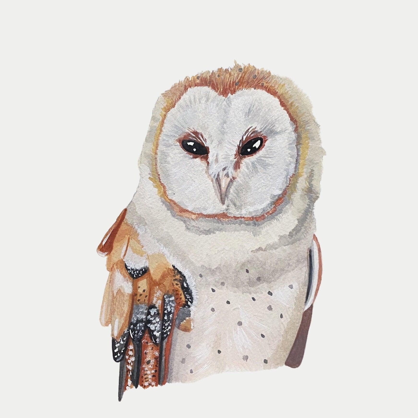Barn Owl Print