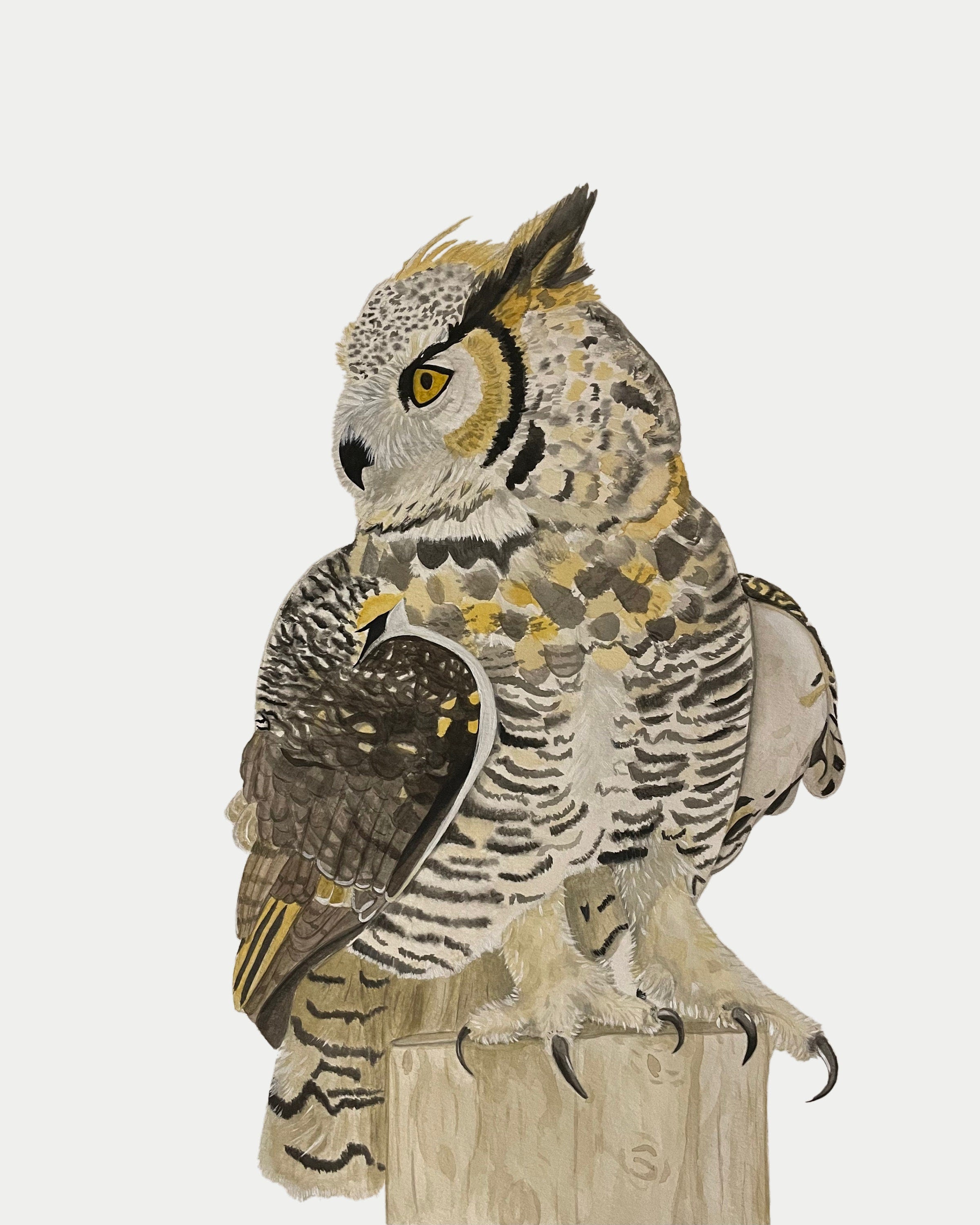 Great Horned Owl Print
