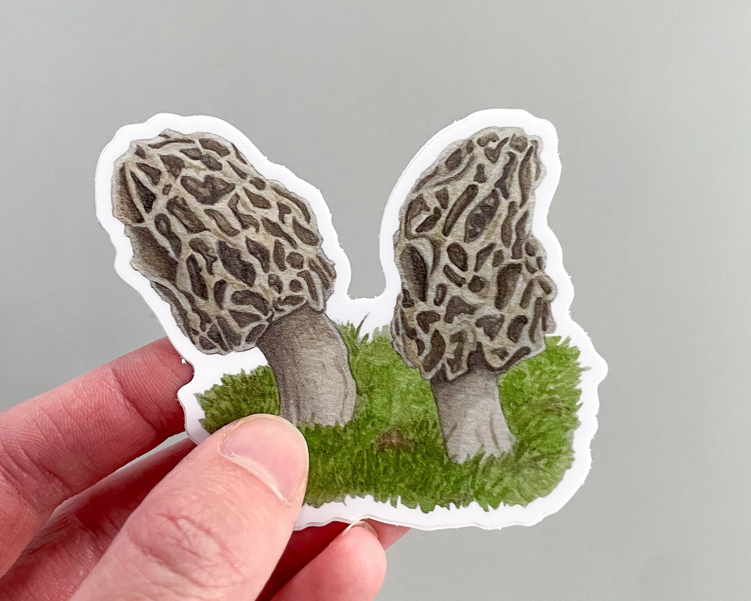 Morel Mushroom Sticker
