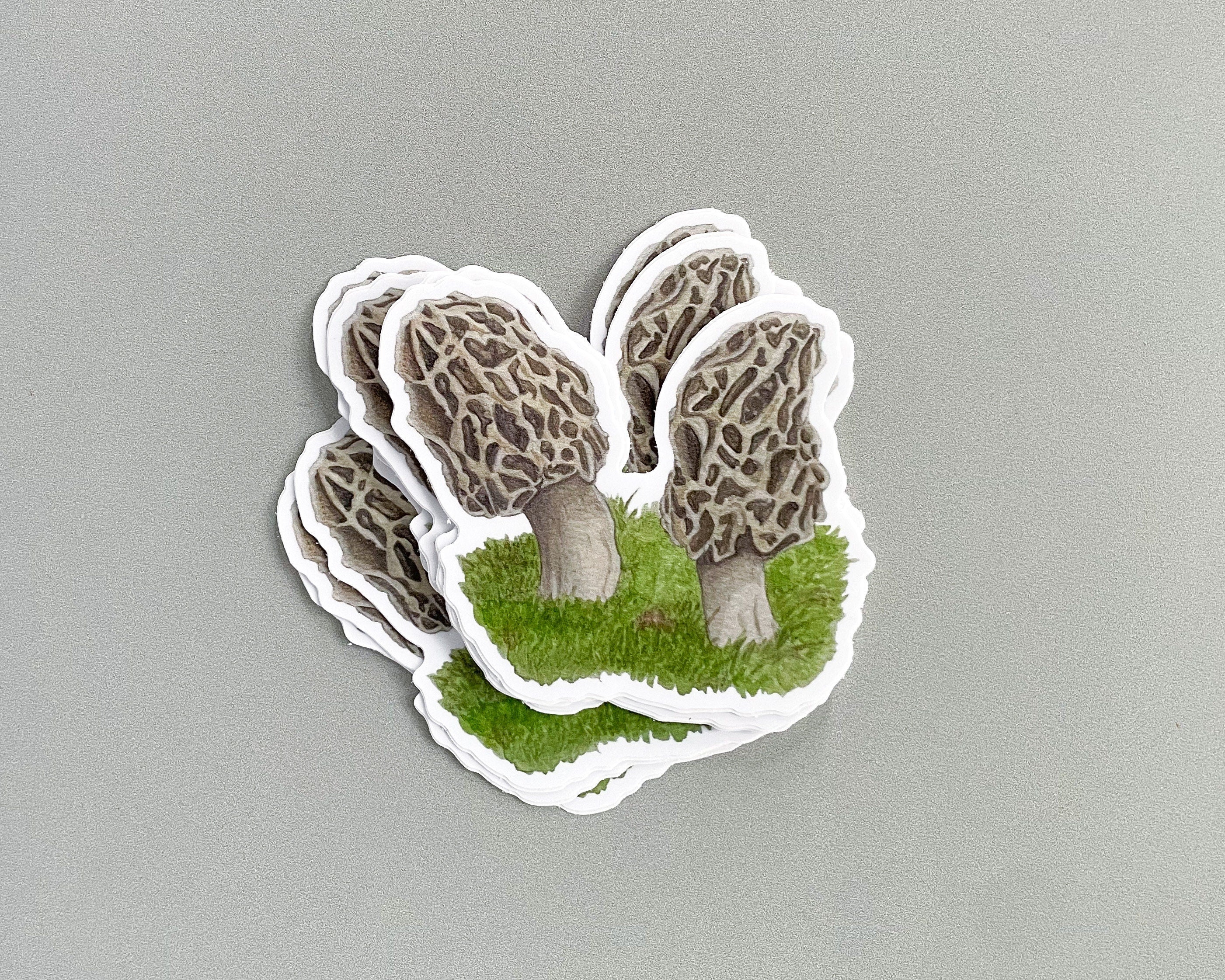 Morel Mushroom Sticker