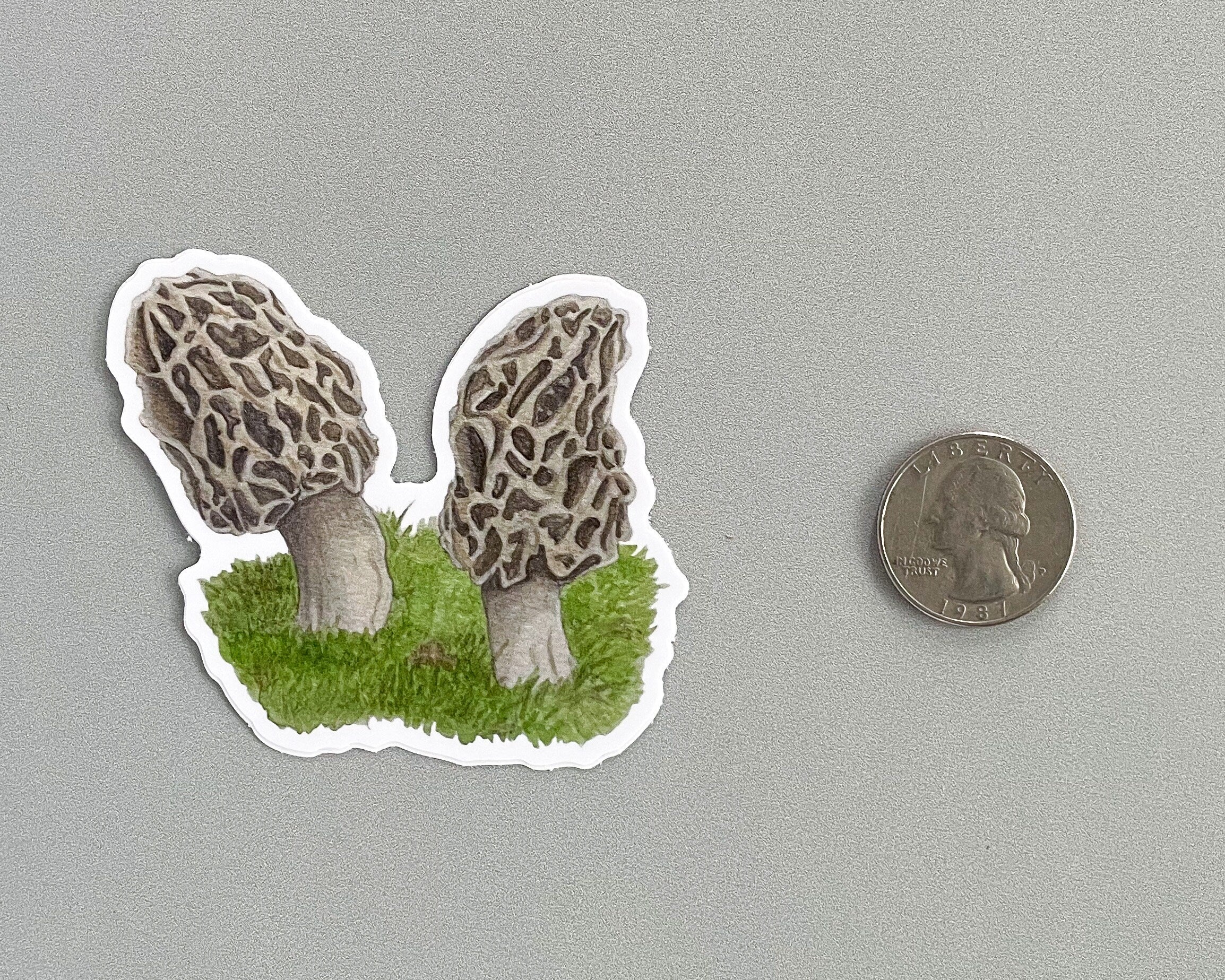 Morel Mushroom Sticker