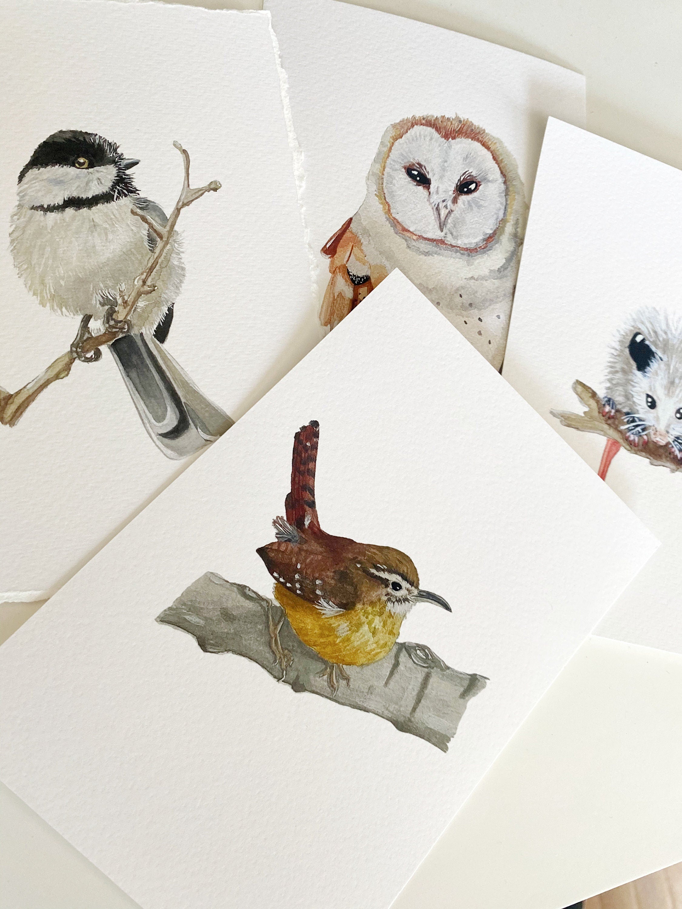 Barn Owl Print