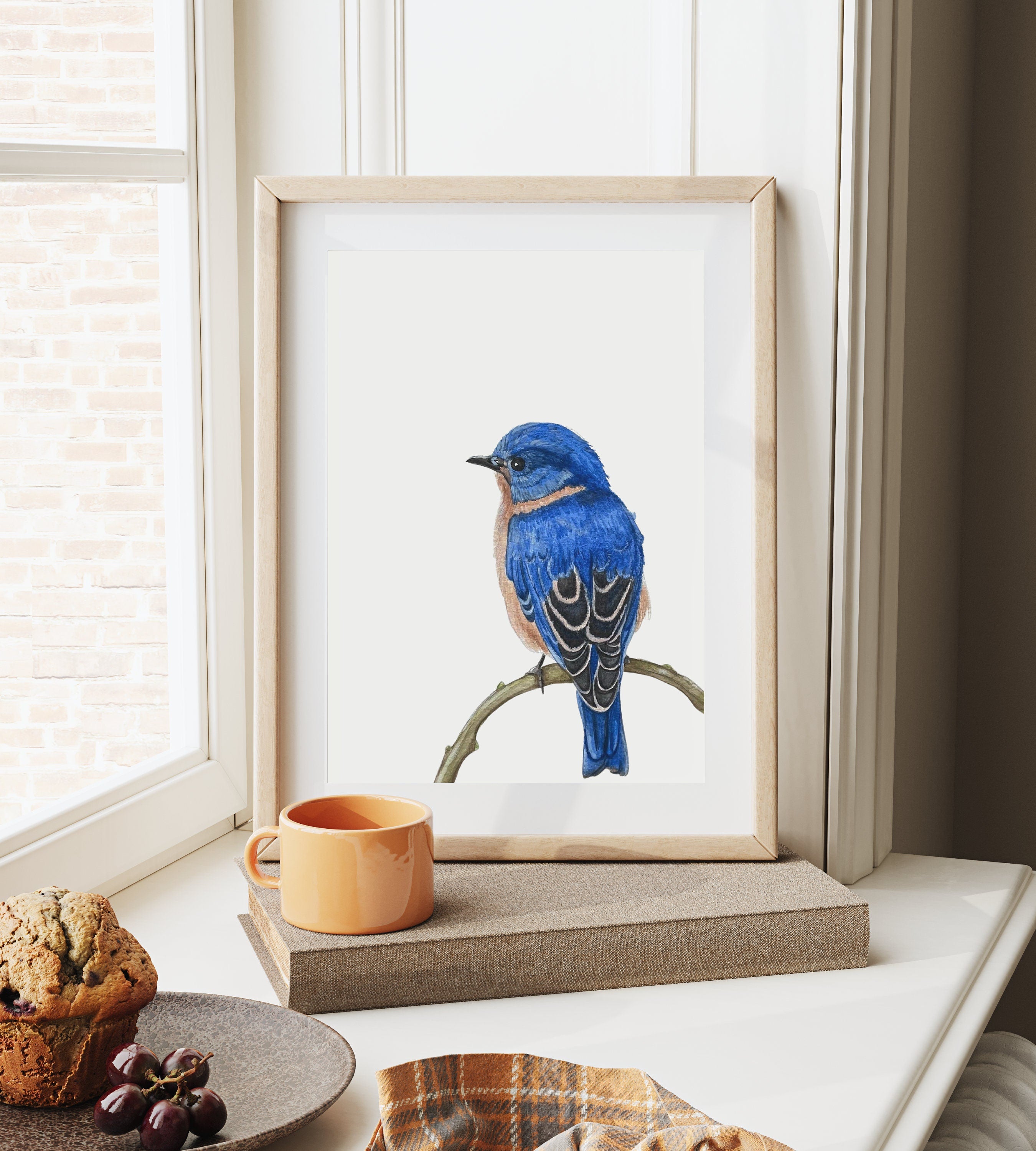 Eastern Bluebird Print