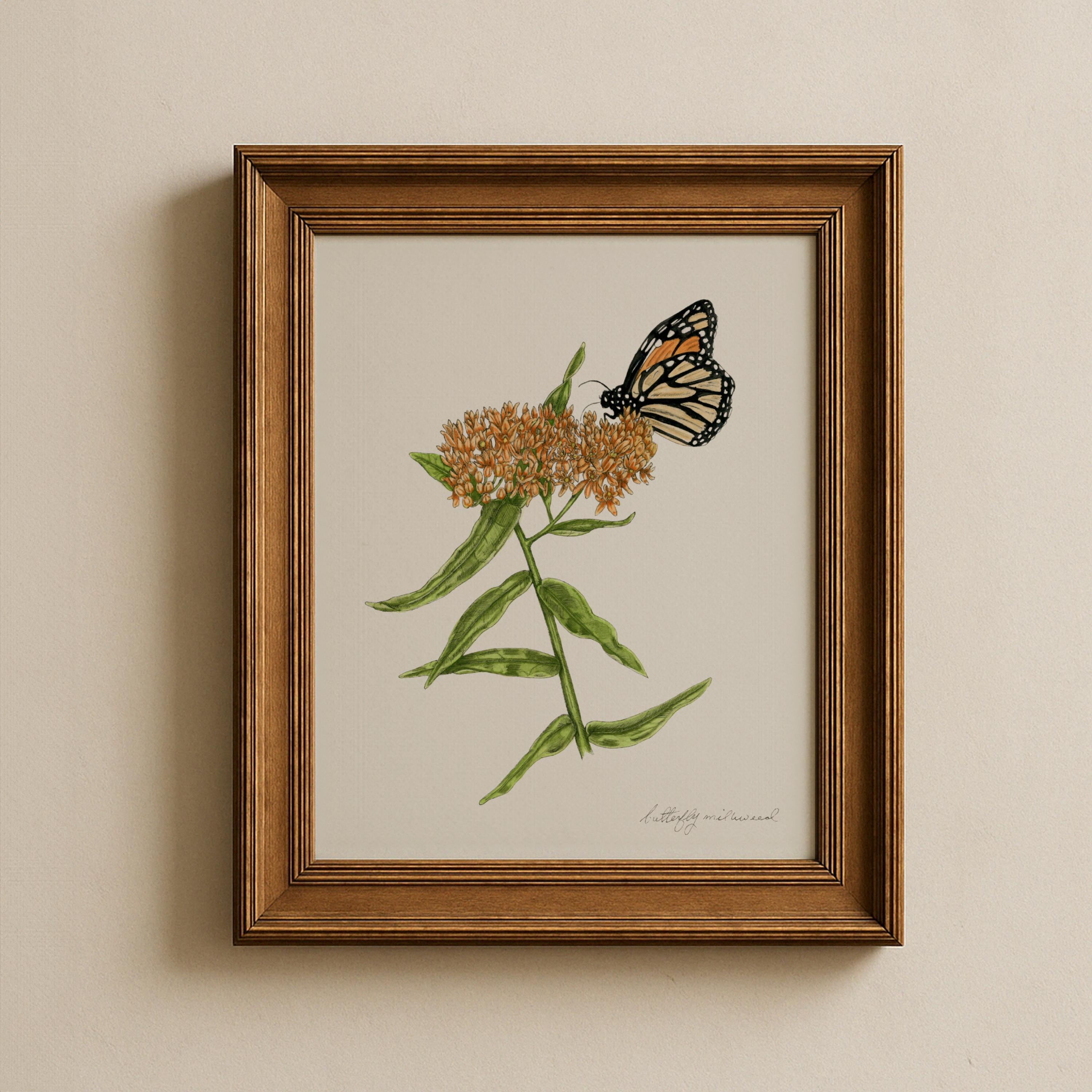 Butterfly Milkweed Print