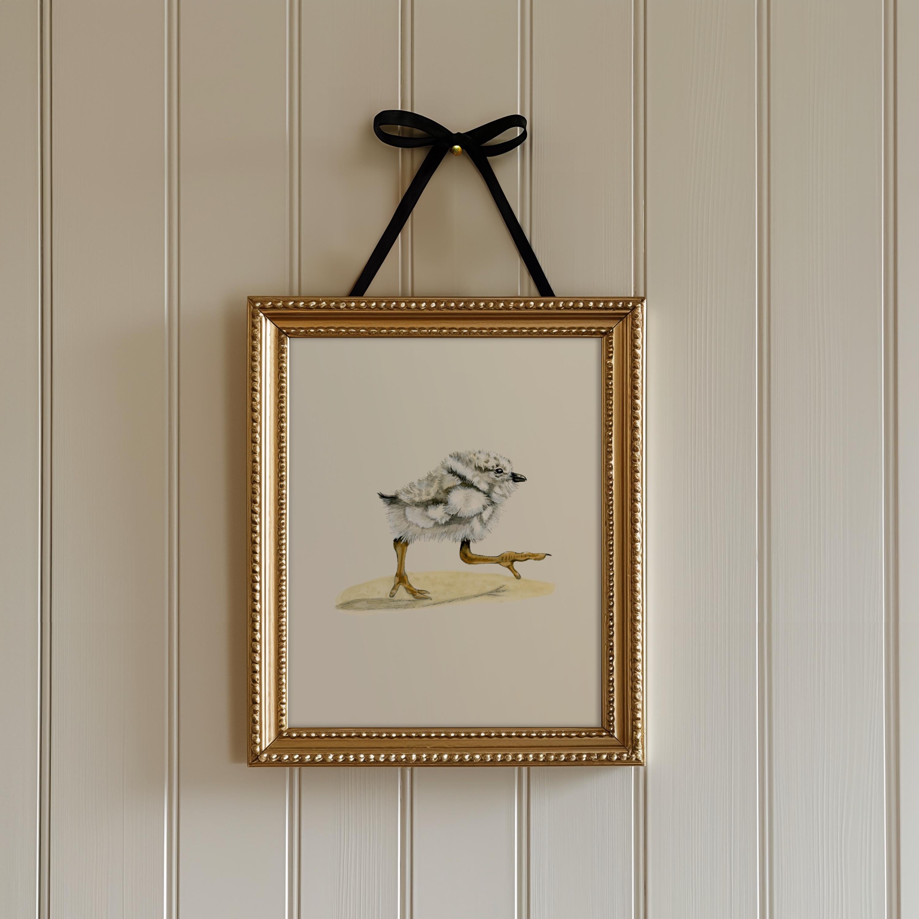 Piping Plover Print