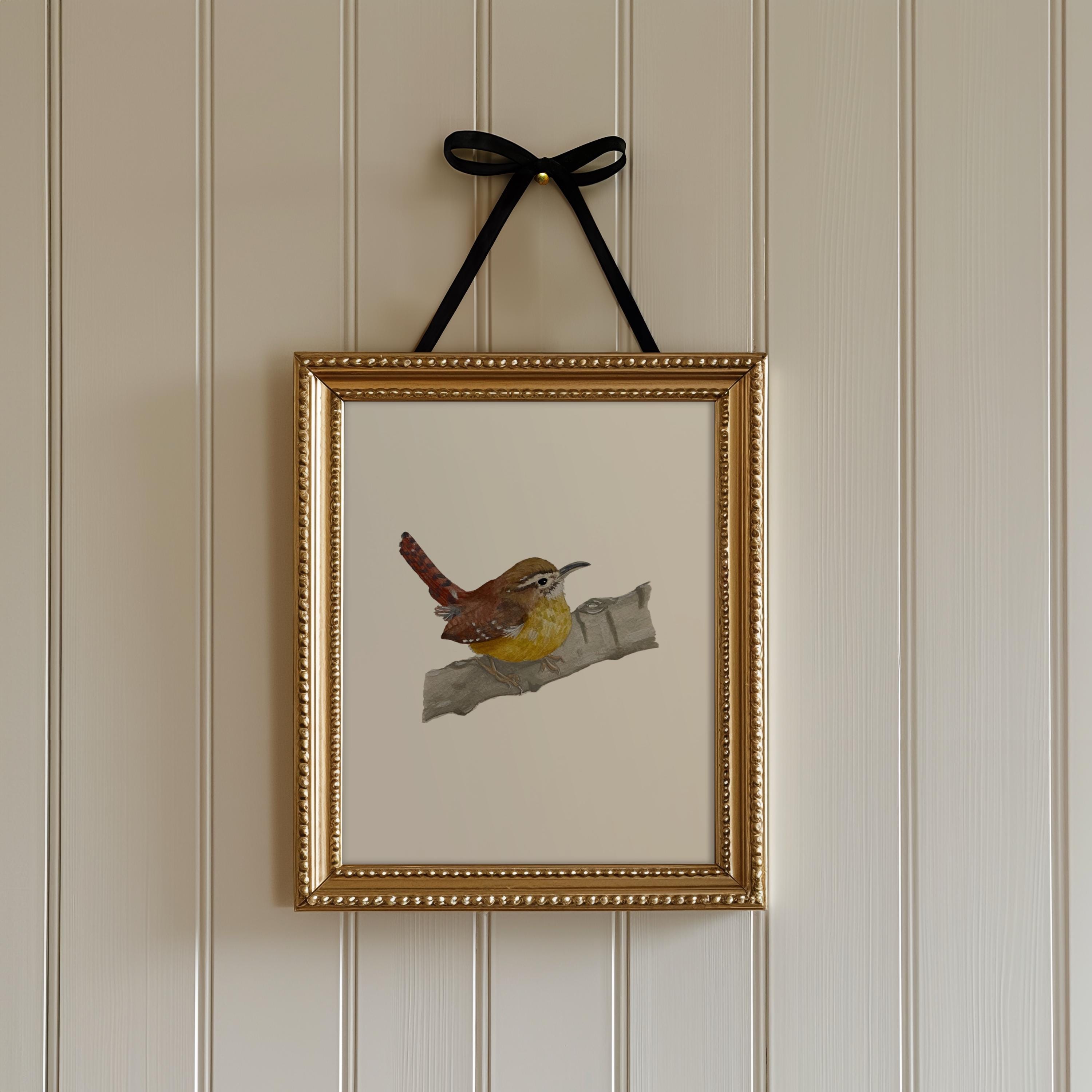 Carolina Wren Print