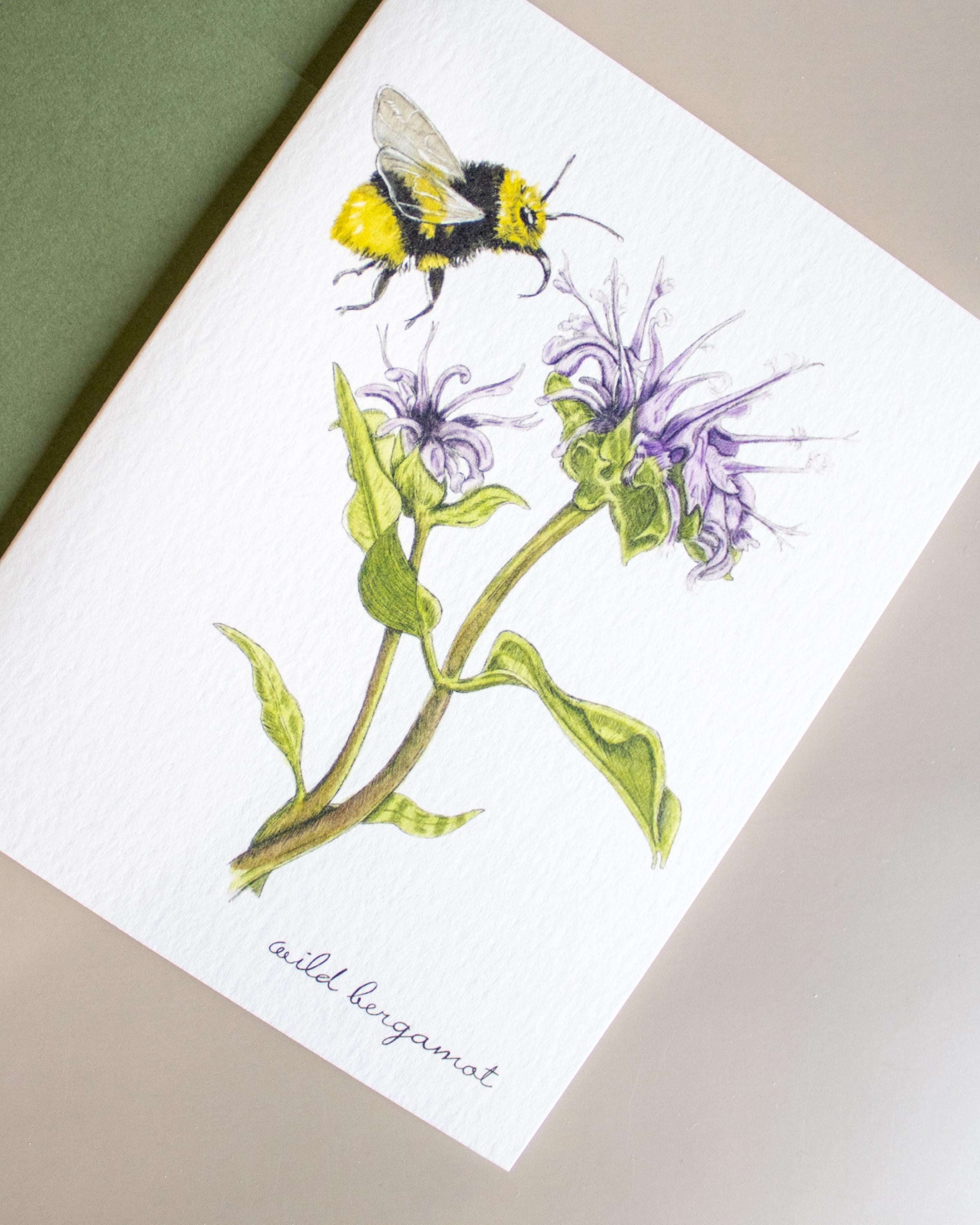 Boxed Botanical Greeting Cards