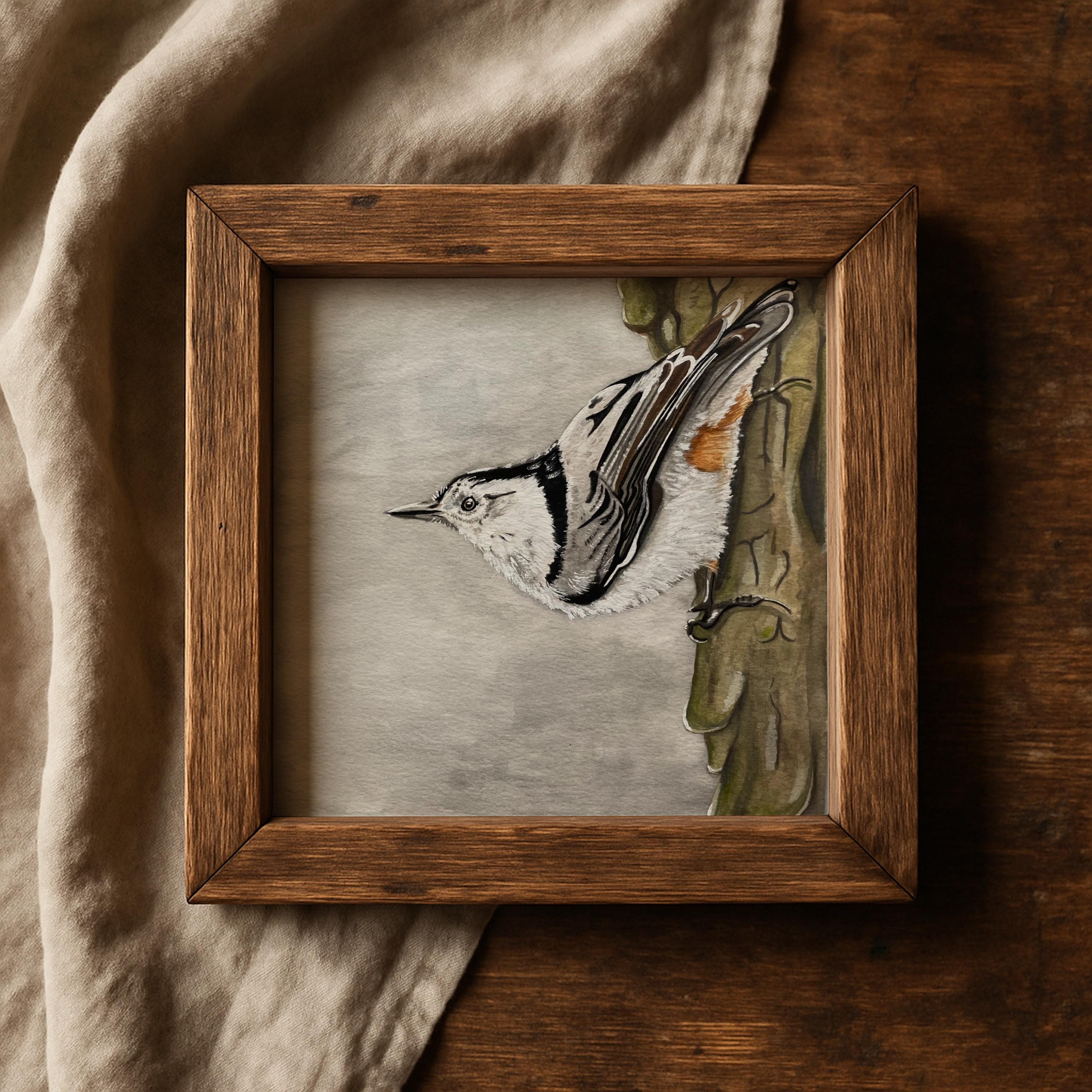 Limited Edition "Perched" Print