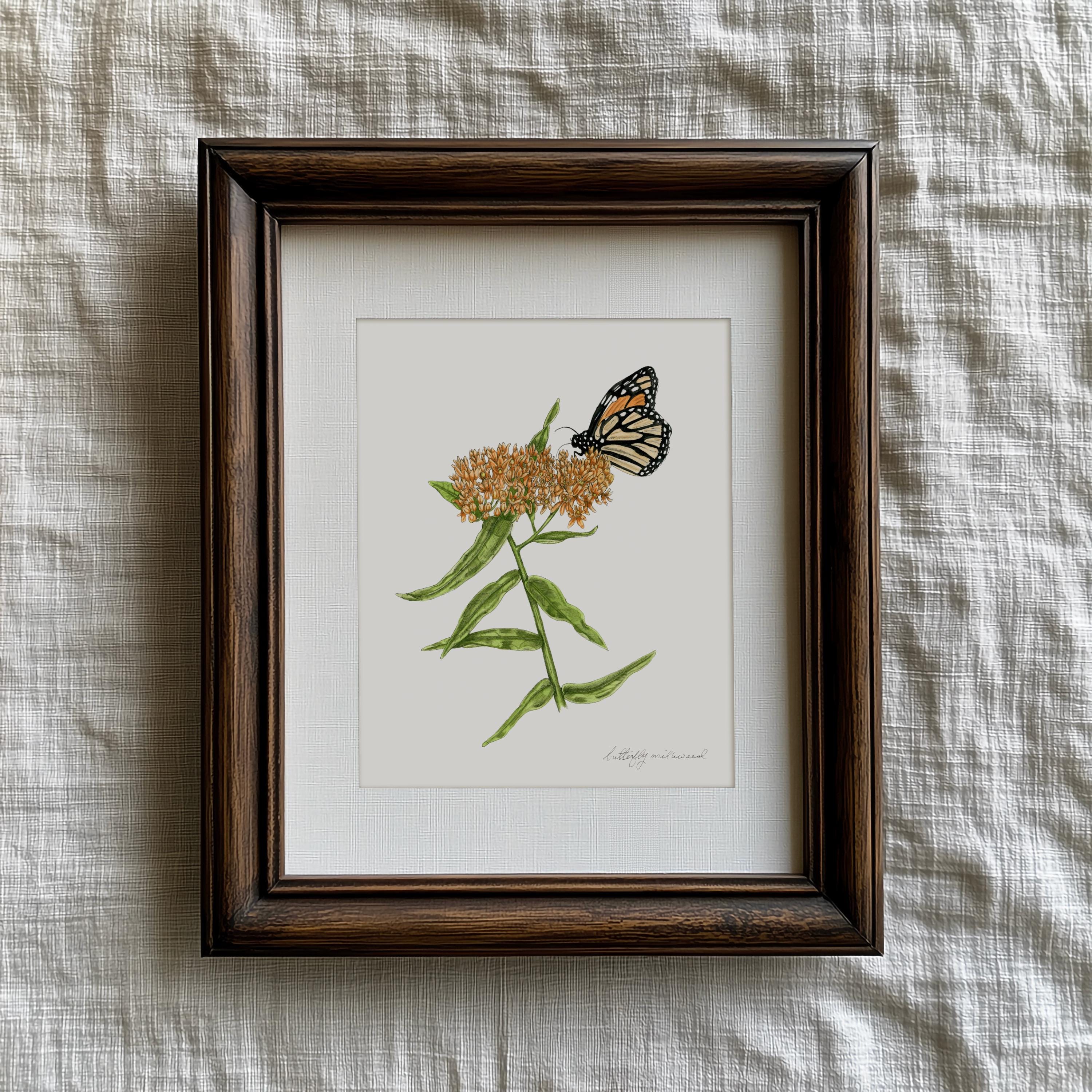 Butterfly Milkweed Print