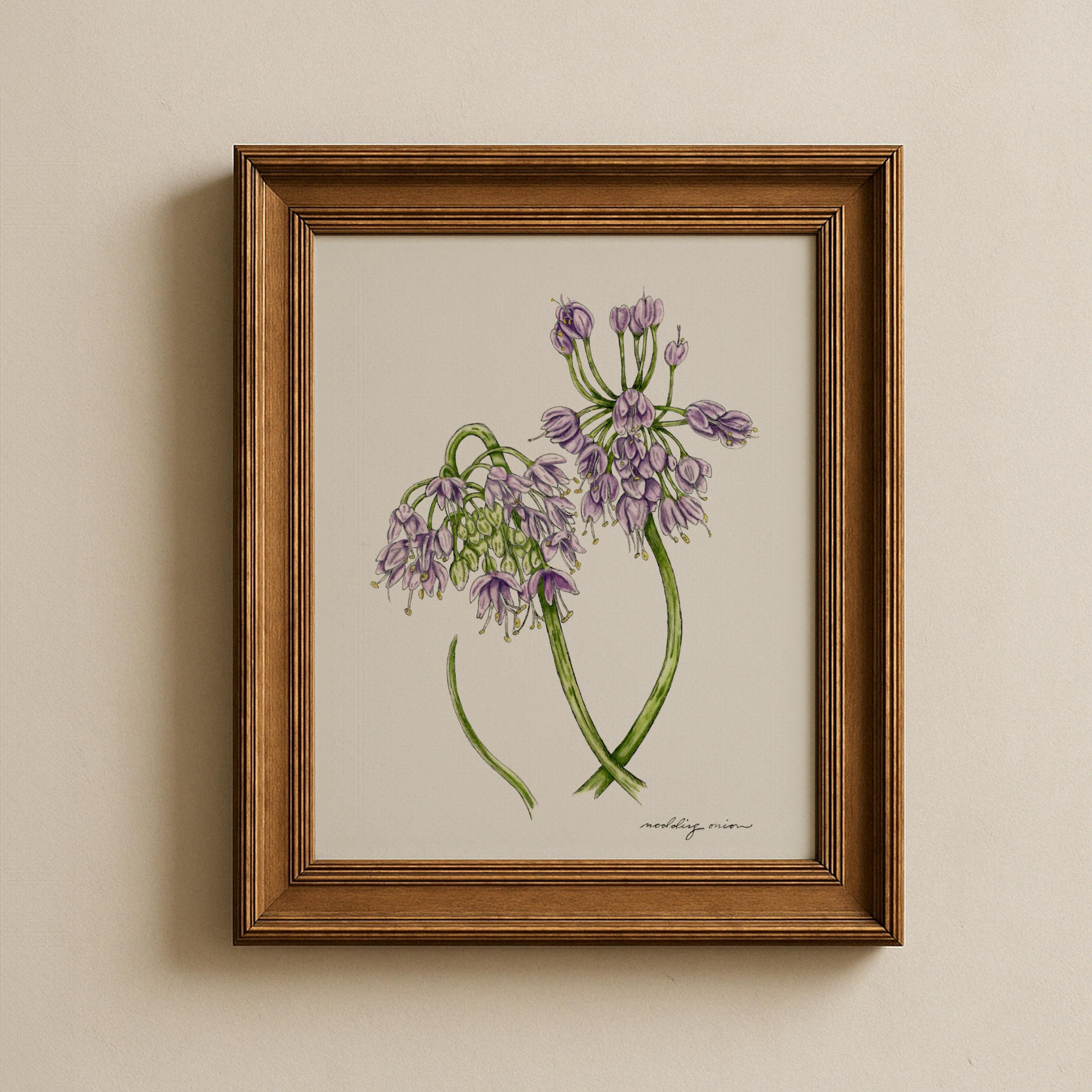 Nodding Onion Print