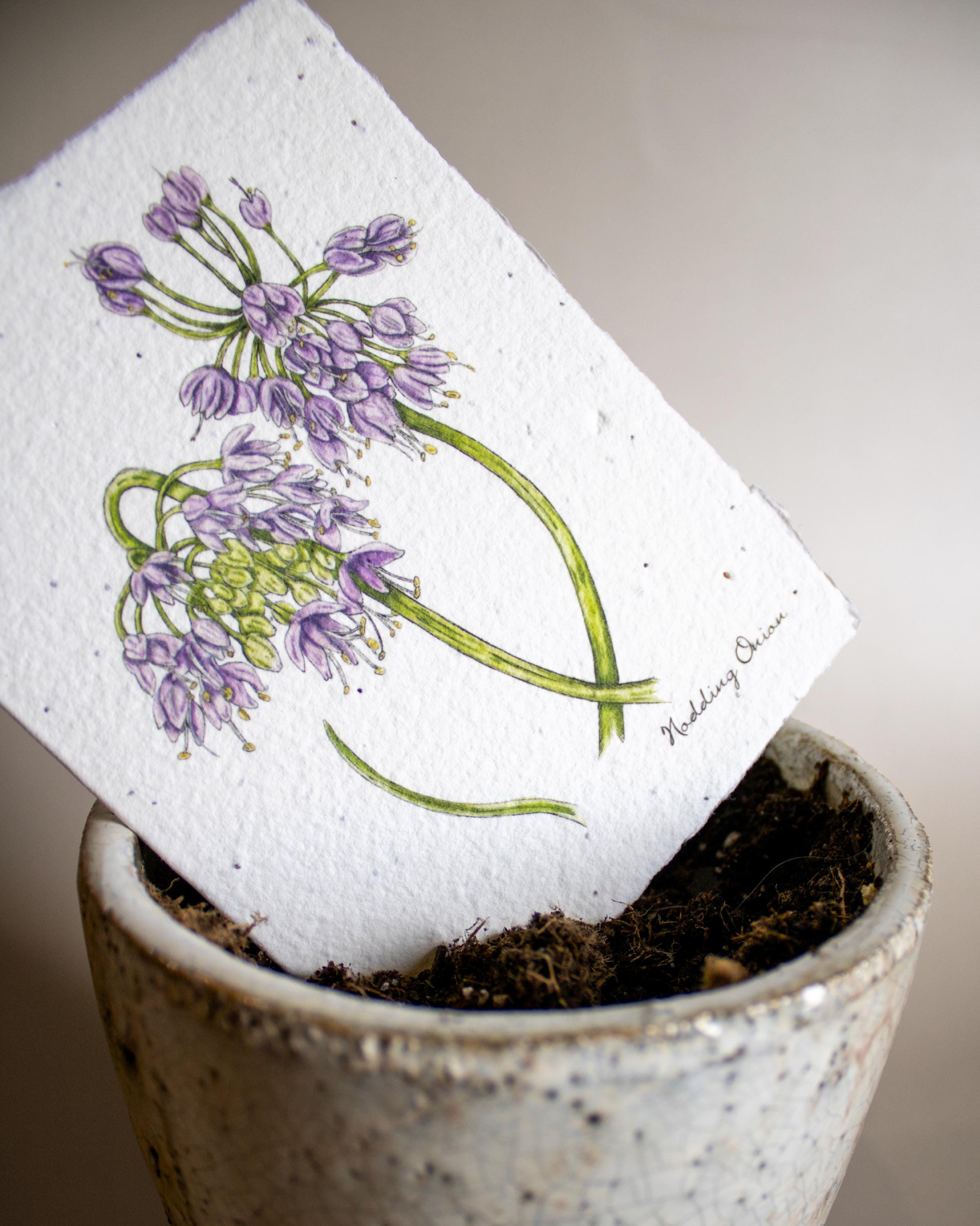 Plantable Botanical Greeting Cards