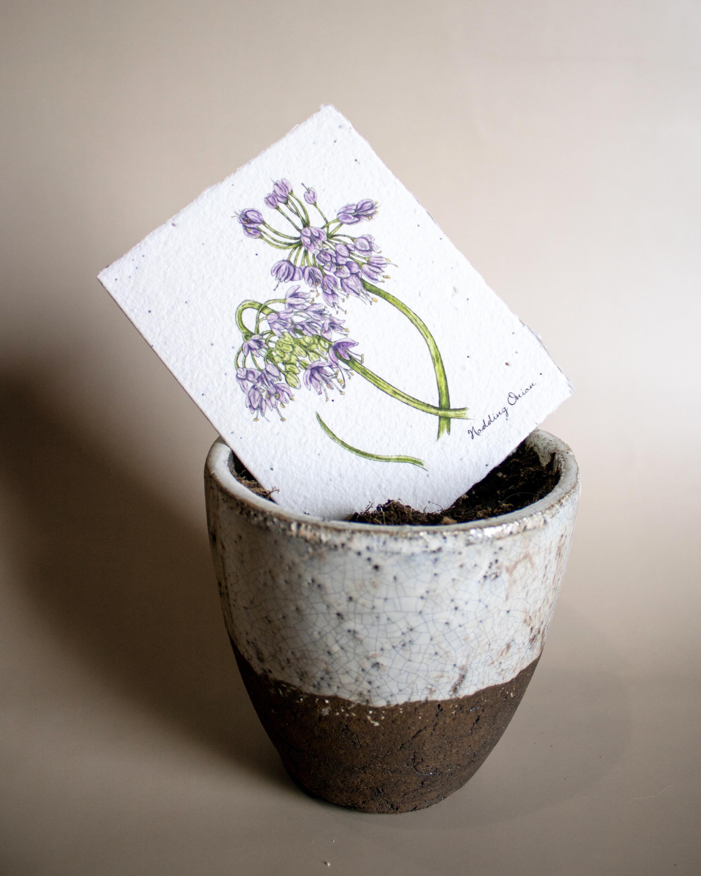 Plantable Botanical Greeting Cards
