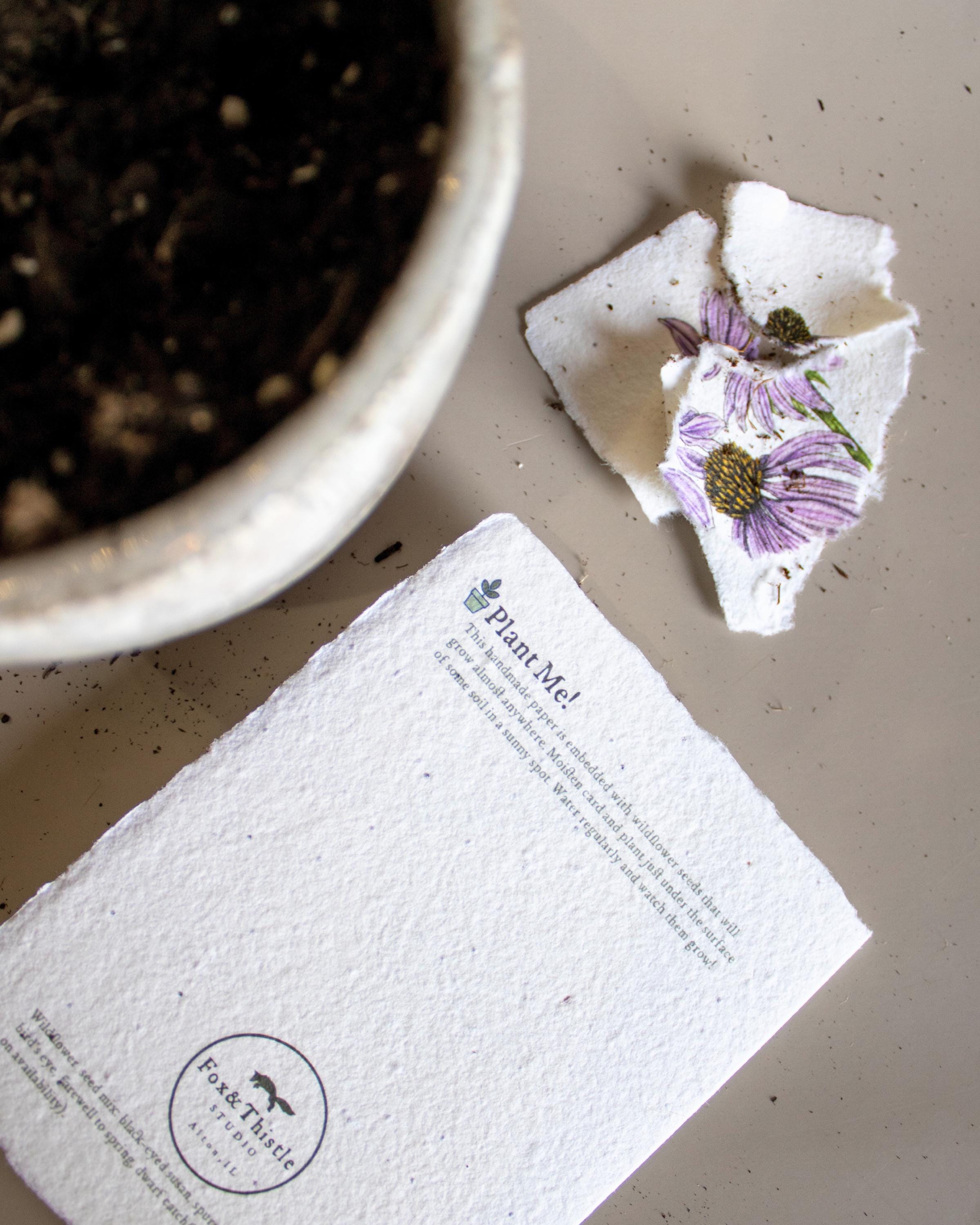 Plantable Botanical Greeting Cards