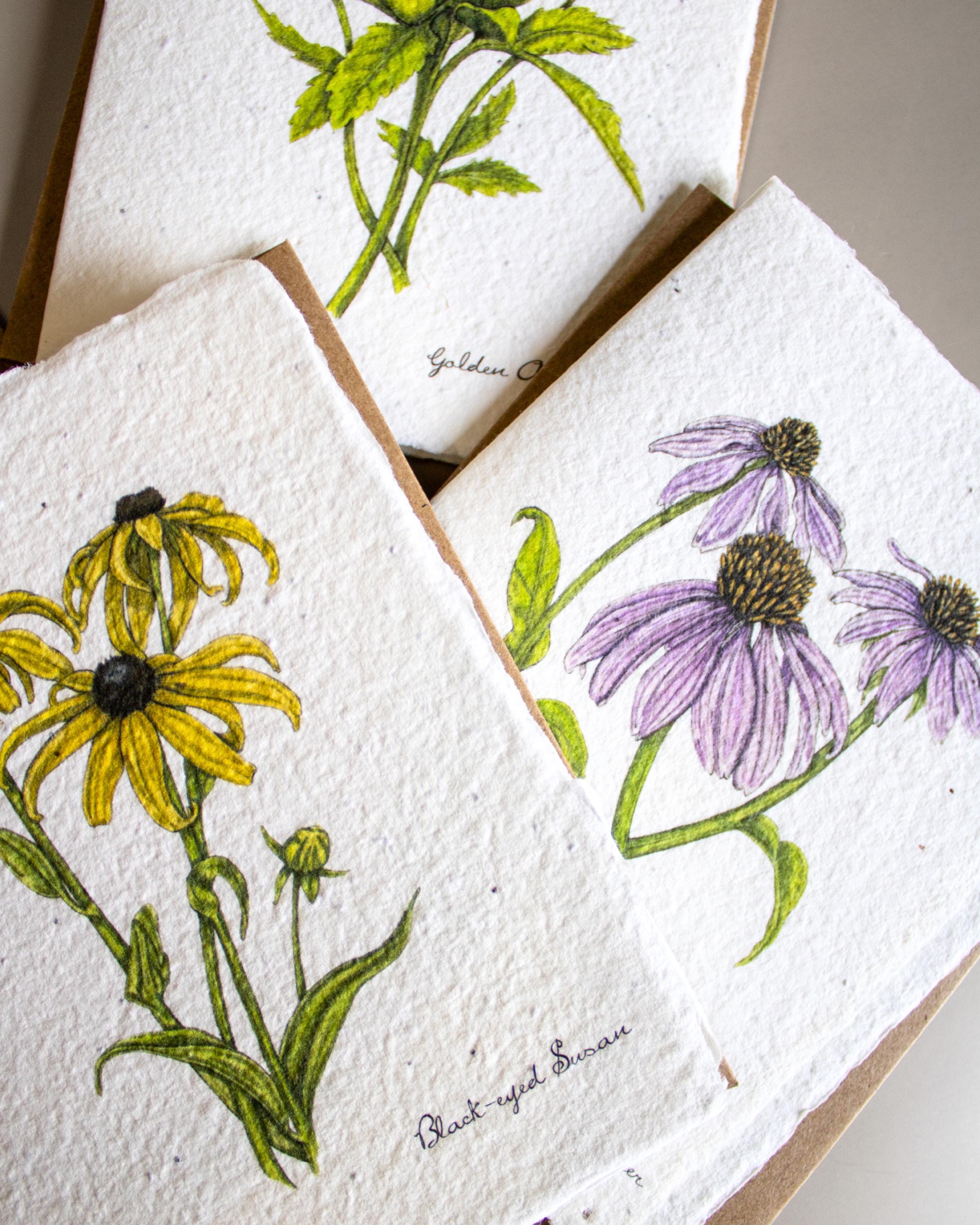 Plantable Botanical Greeting Cards