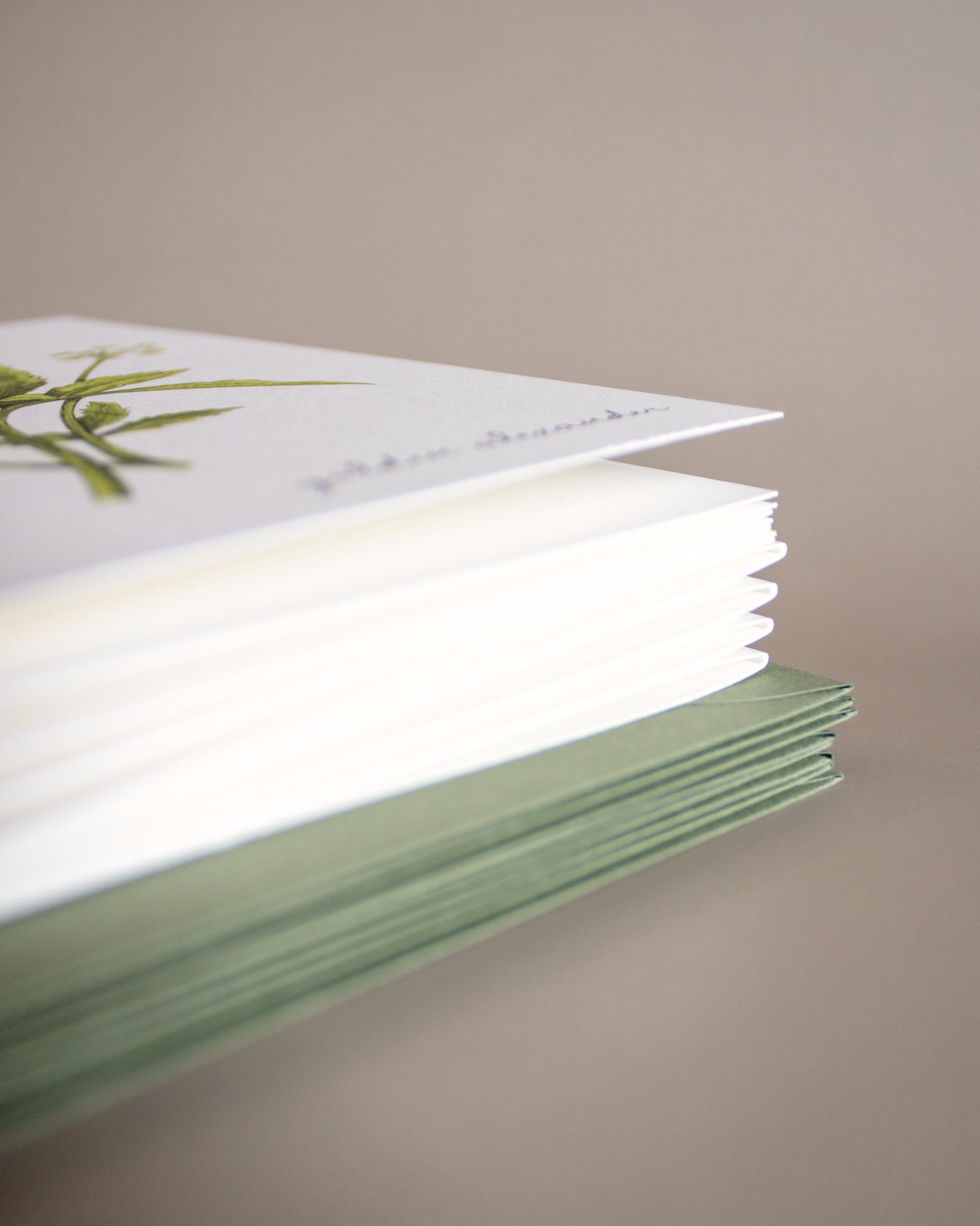 Boxed Botanical Greeting Cards