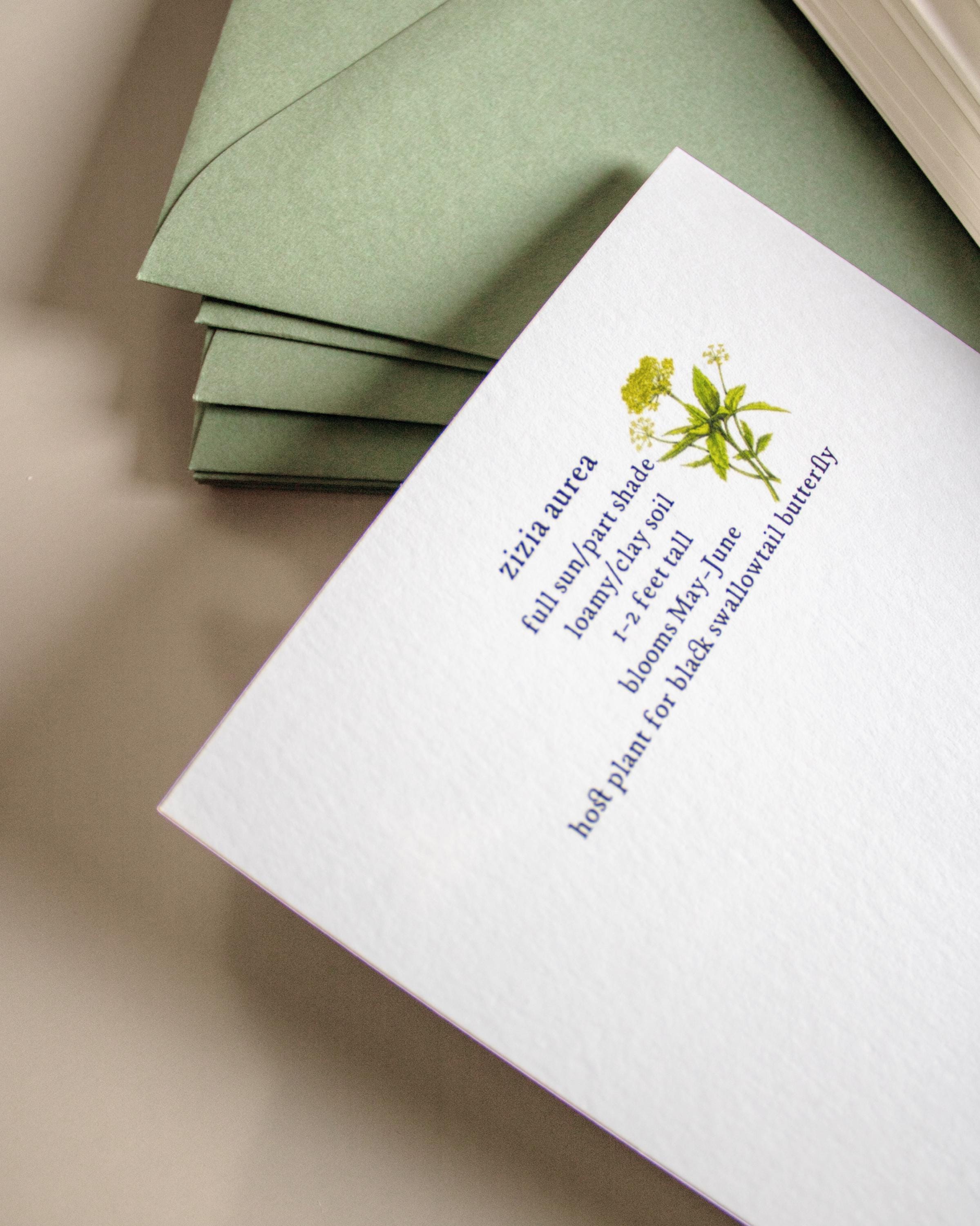 Boxed Botanical Greeting Cards