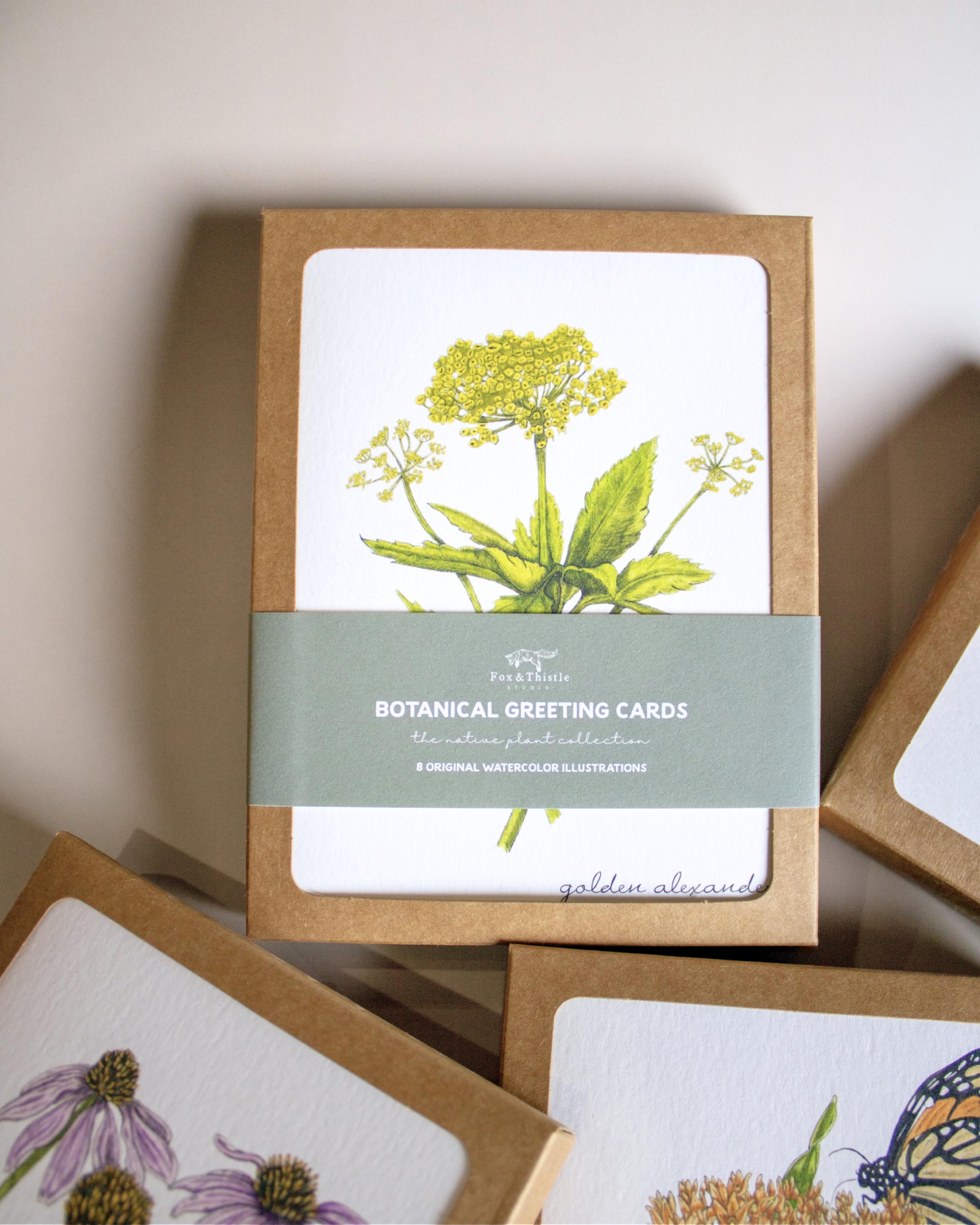 Boxed Botanical Greeting Cards
