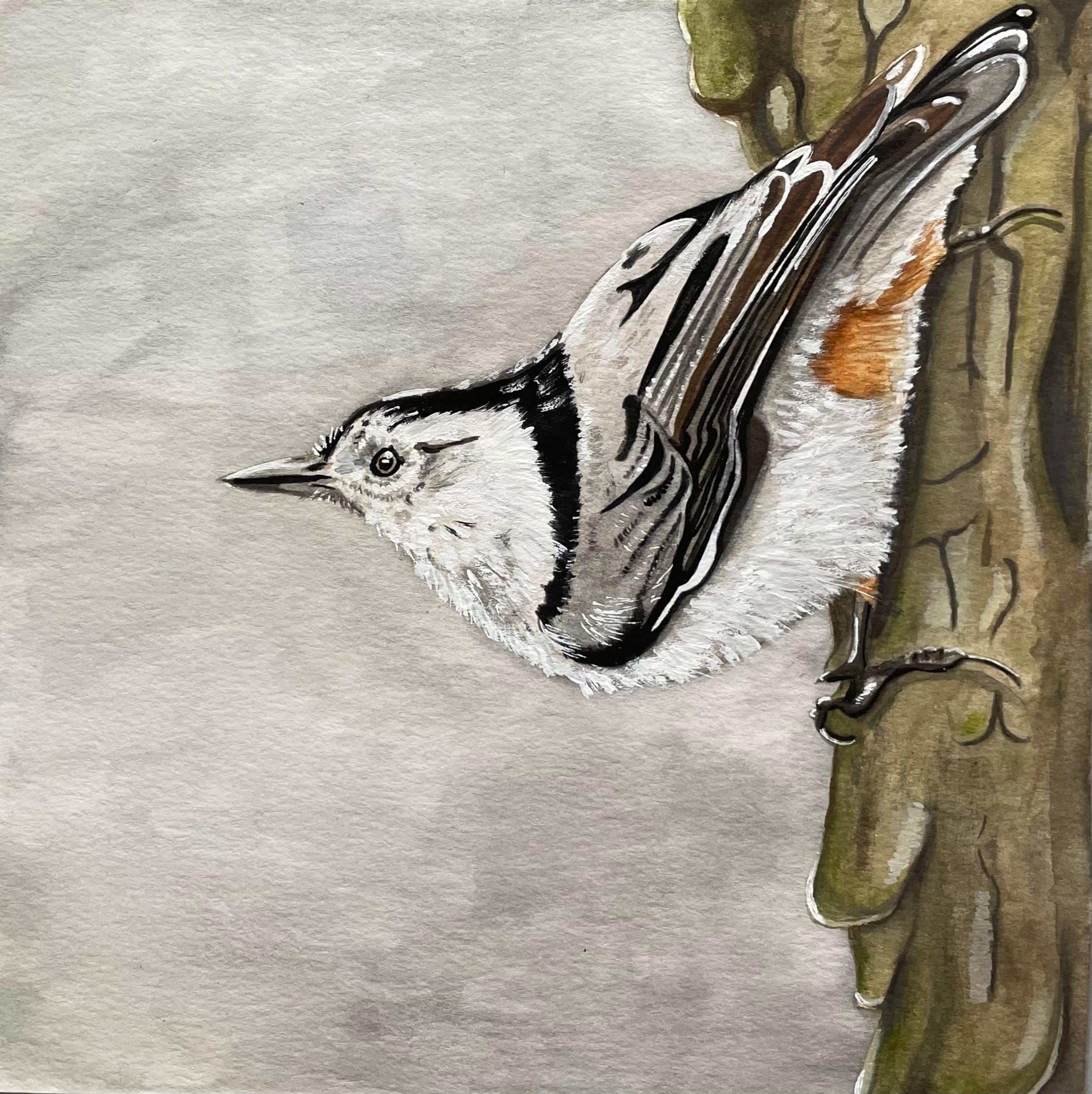 Limited Edition "Perched" Print