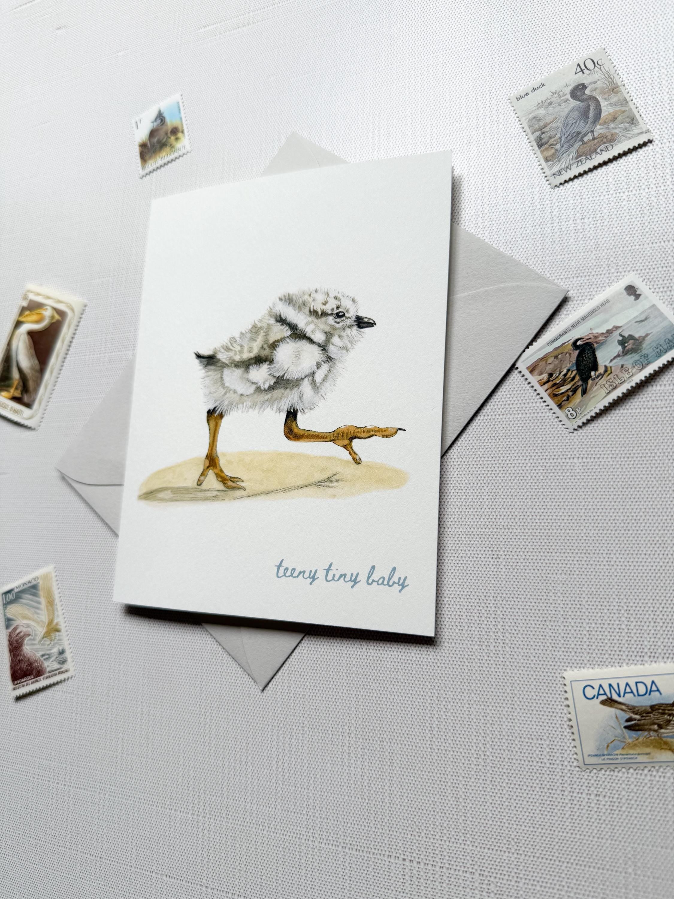 Piping Plover Baby Shower Card