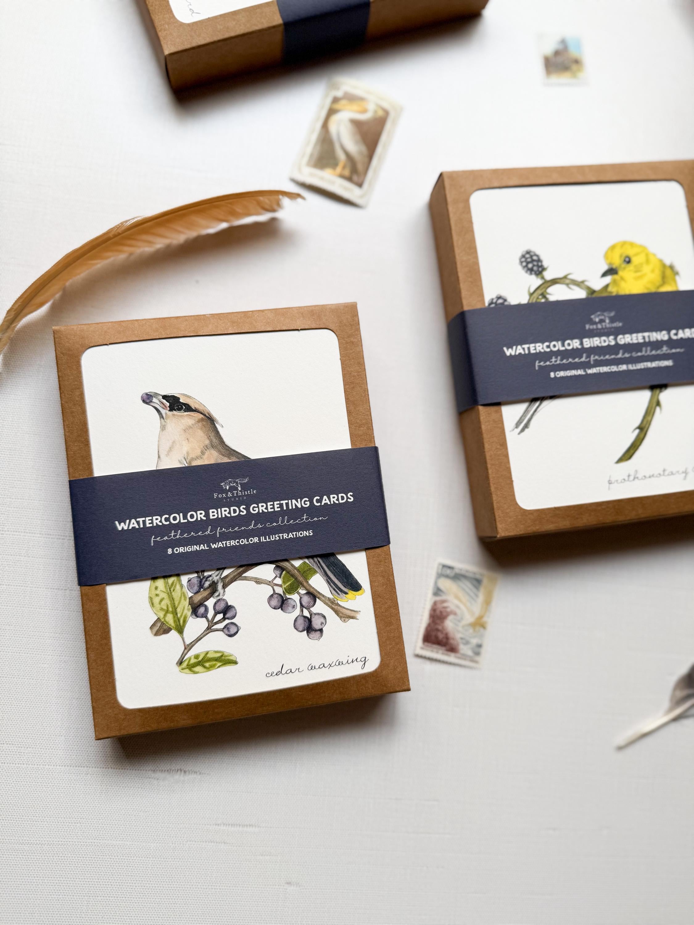 Boxed Watercolor Bird Greeting Cards