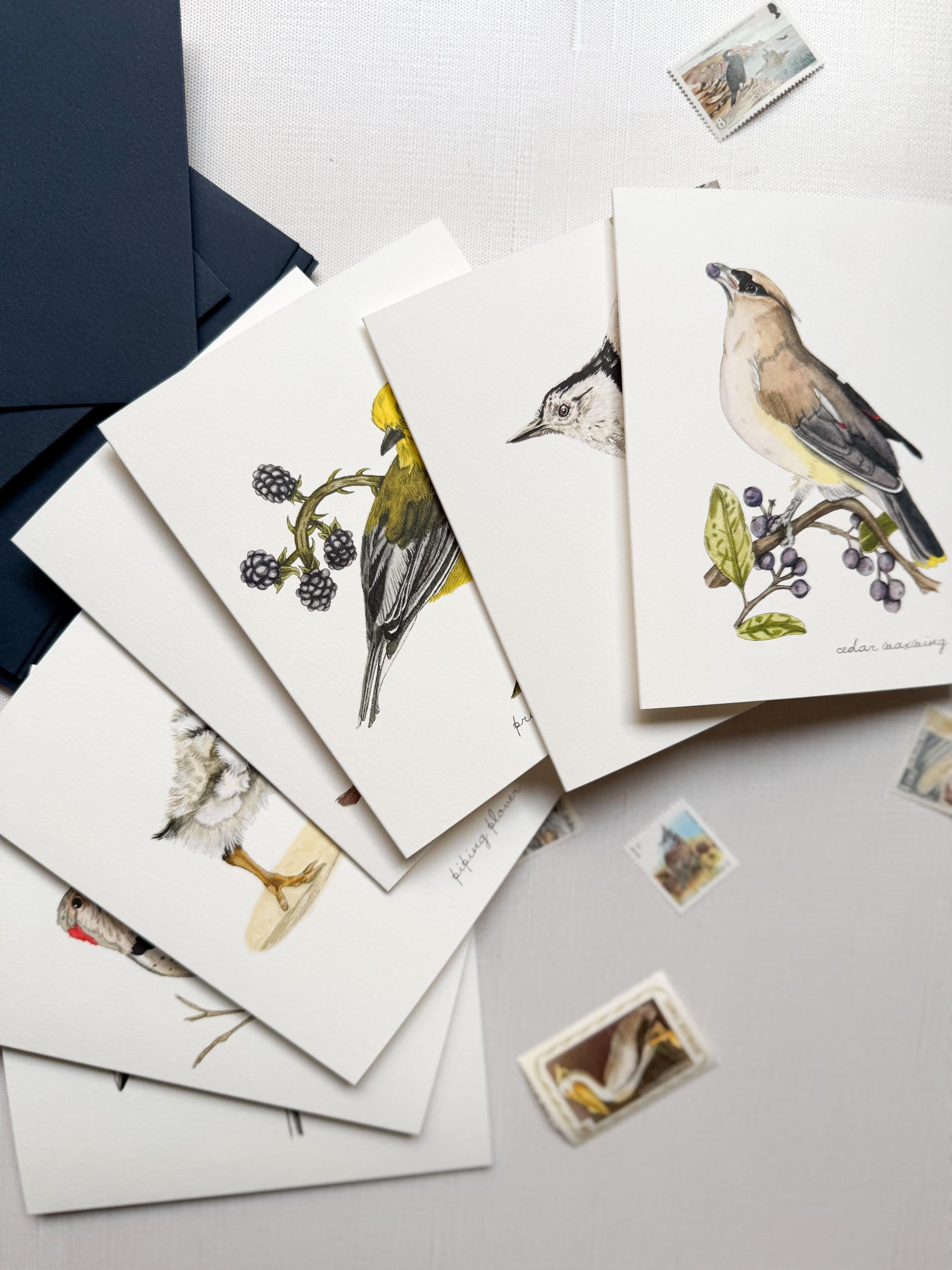 Boxed Watercolor Bird Greeting Cards