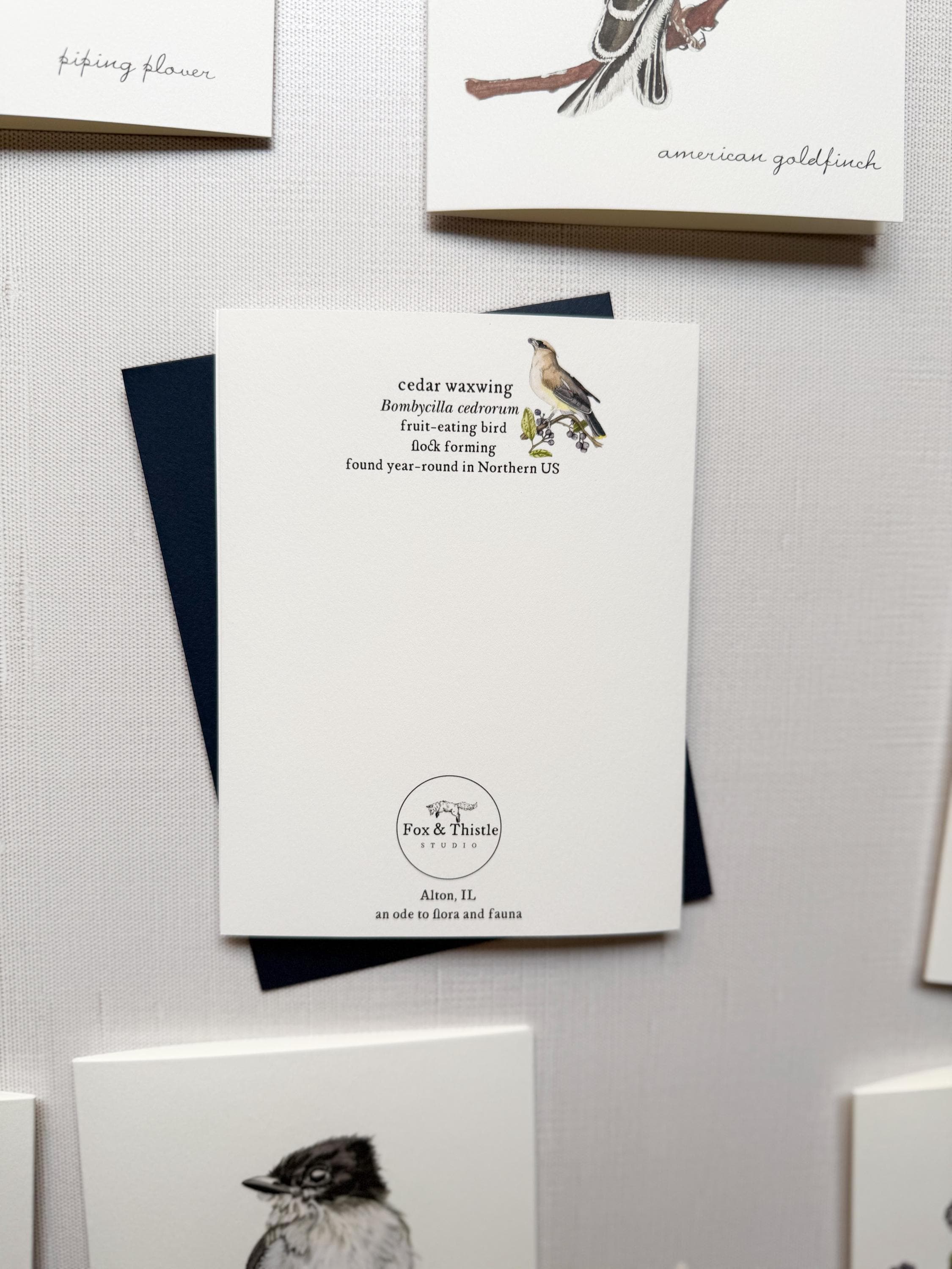 Boxed Watercolor Bird Greeting Cards