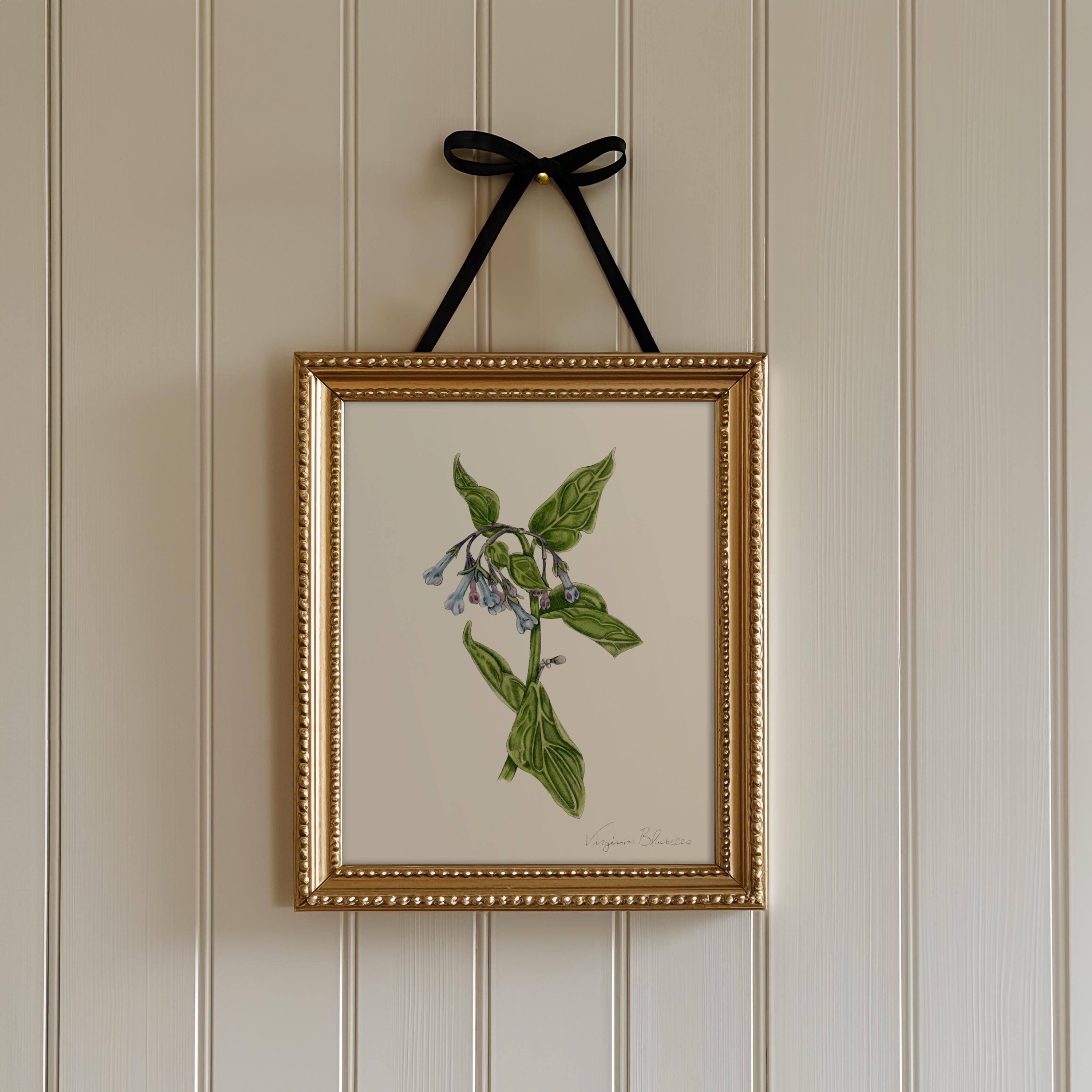 Virginia Bluebells Print