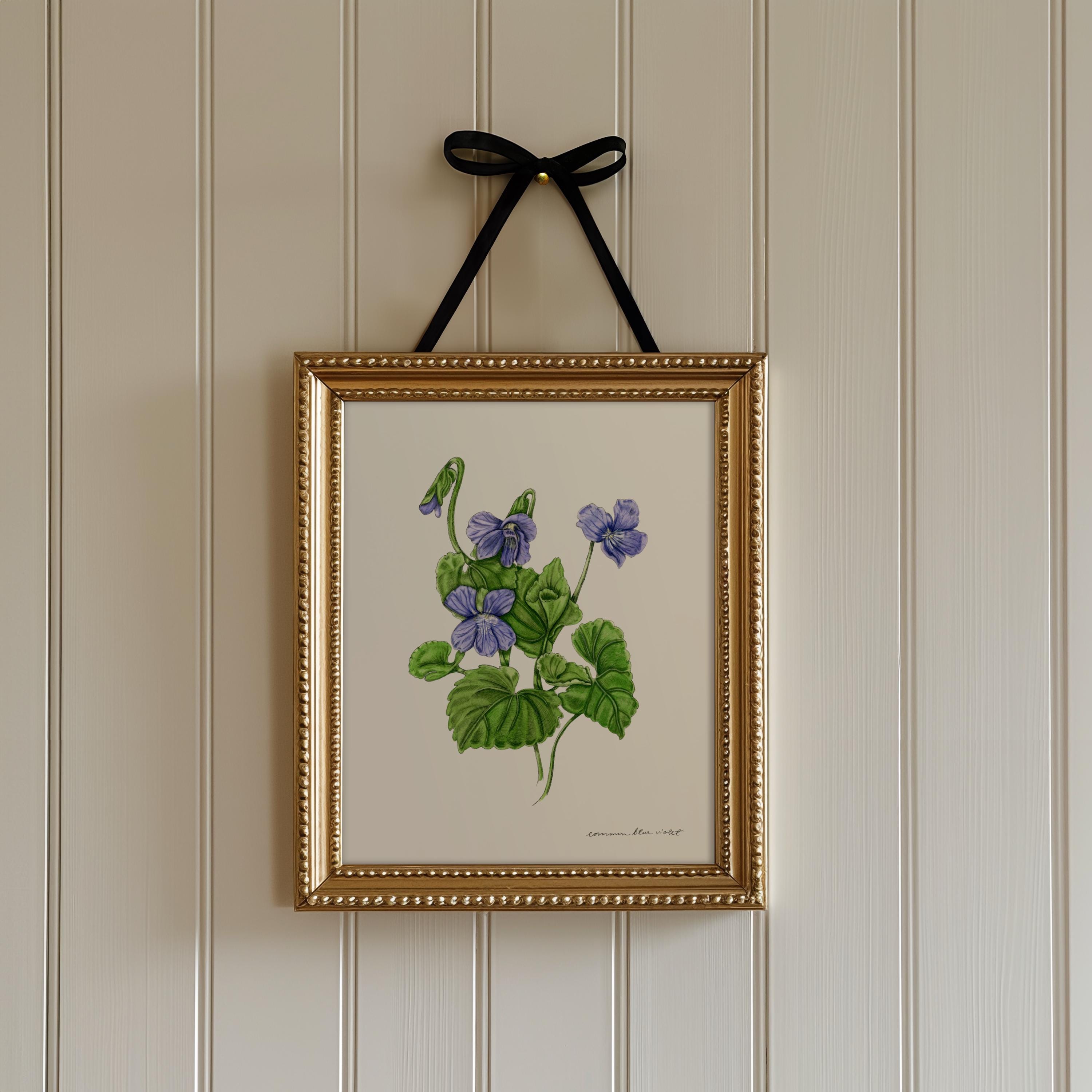 Common Blue Violet Print