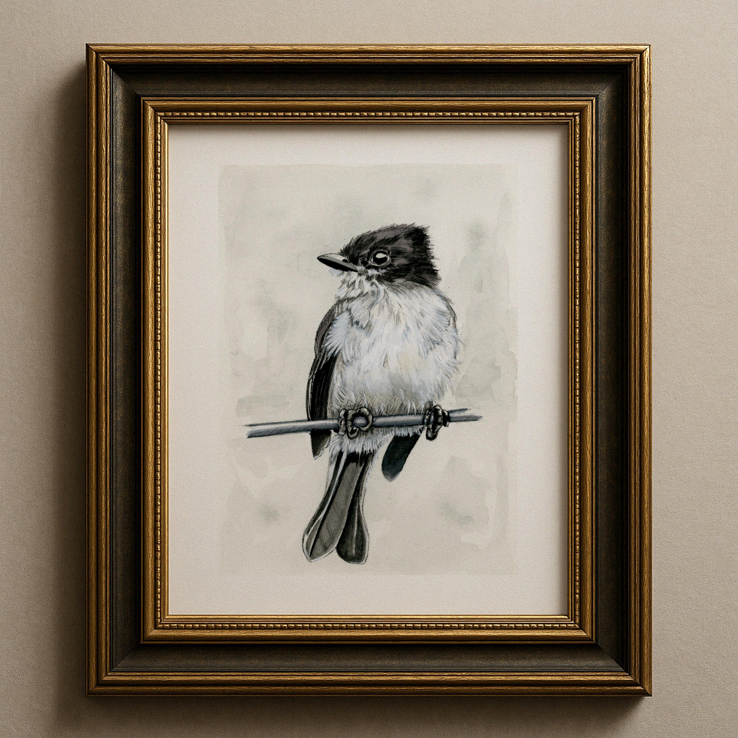 Eastern Kingbird Print