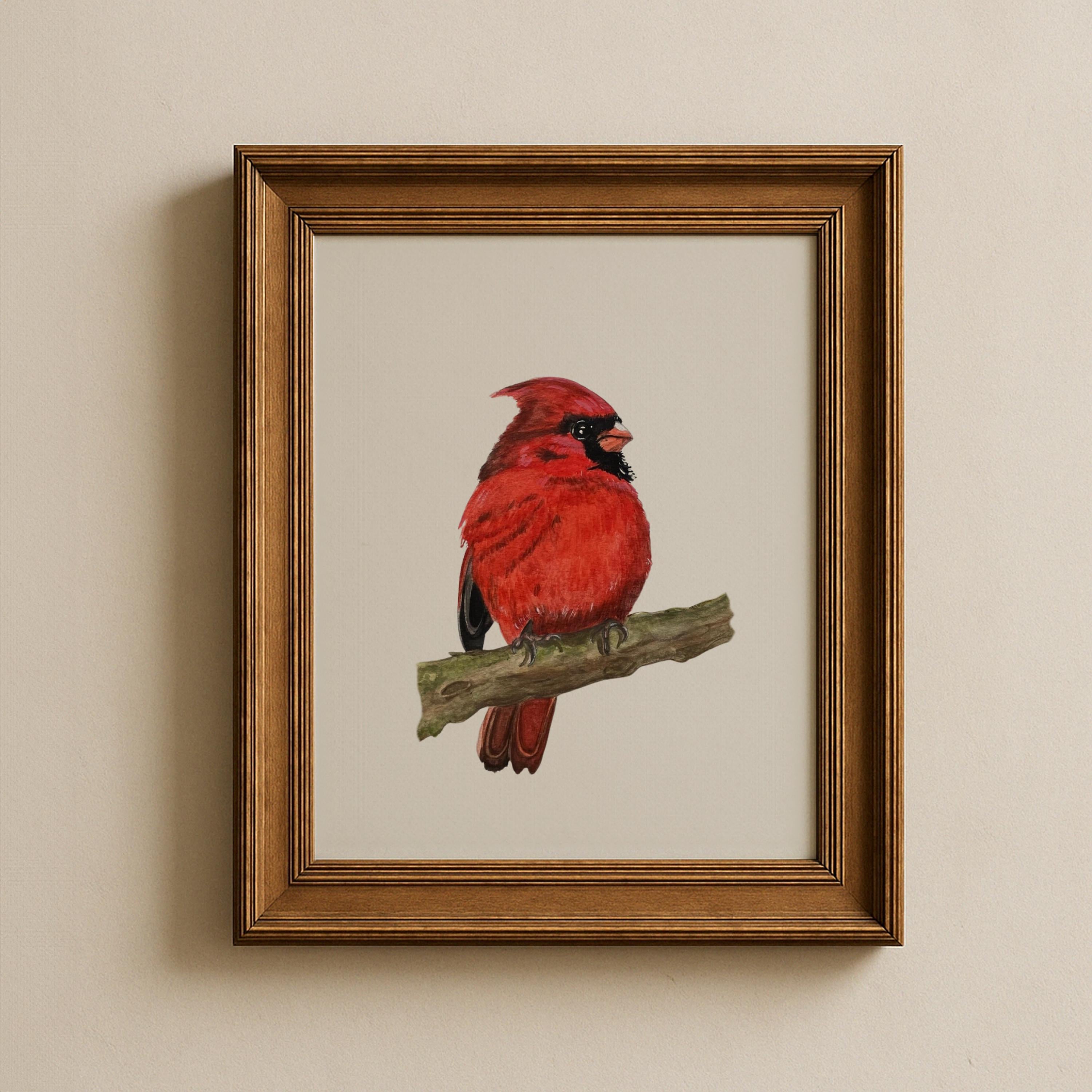 Northern Cardinal Print