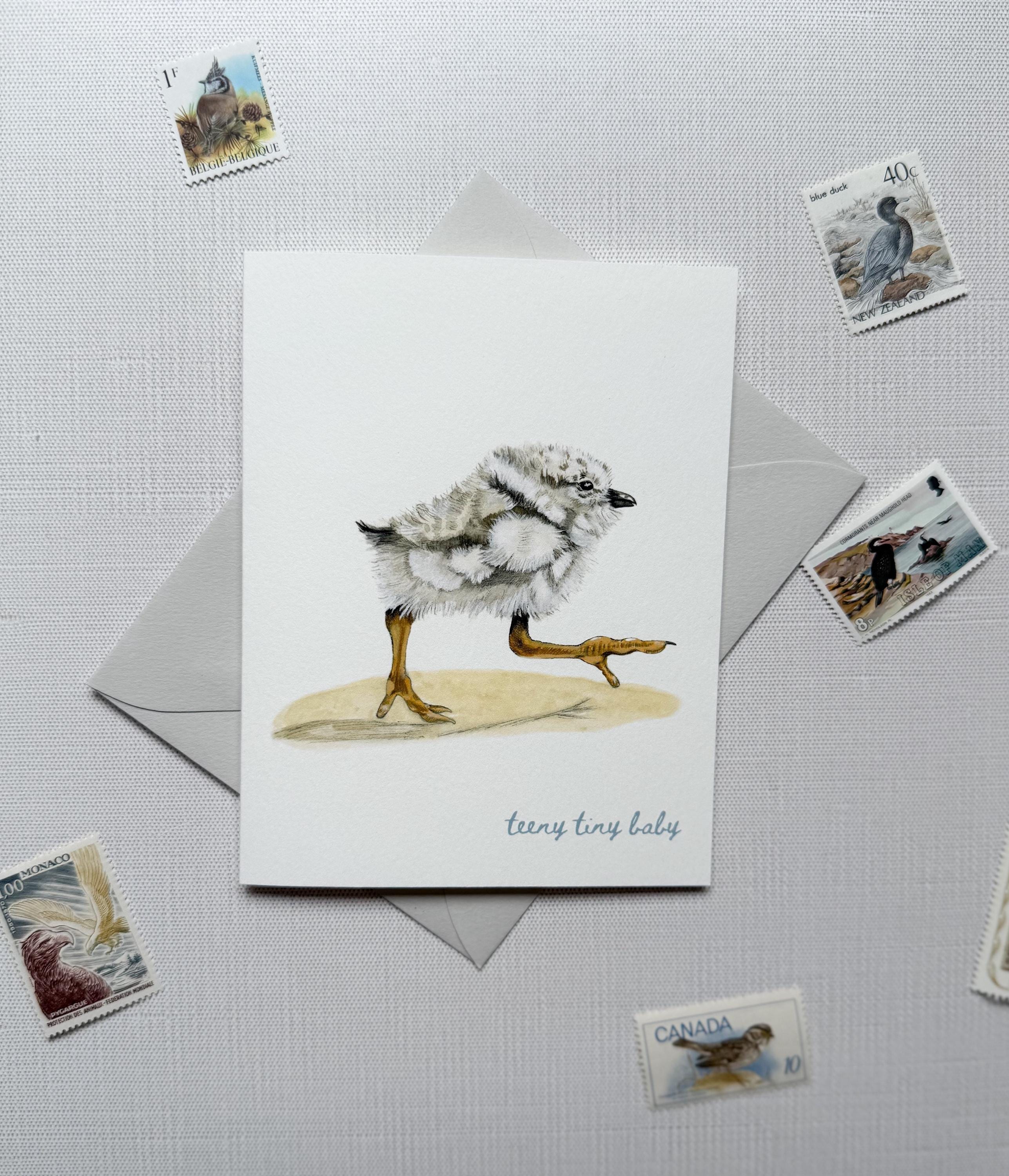 Piping Plover Baby Shower Card