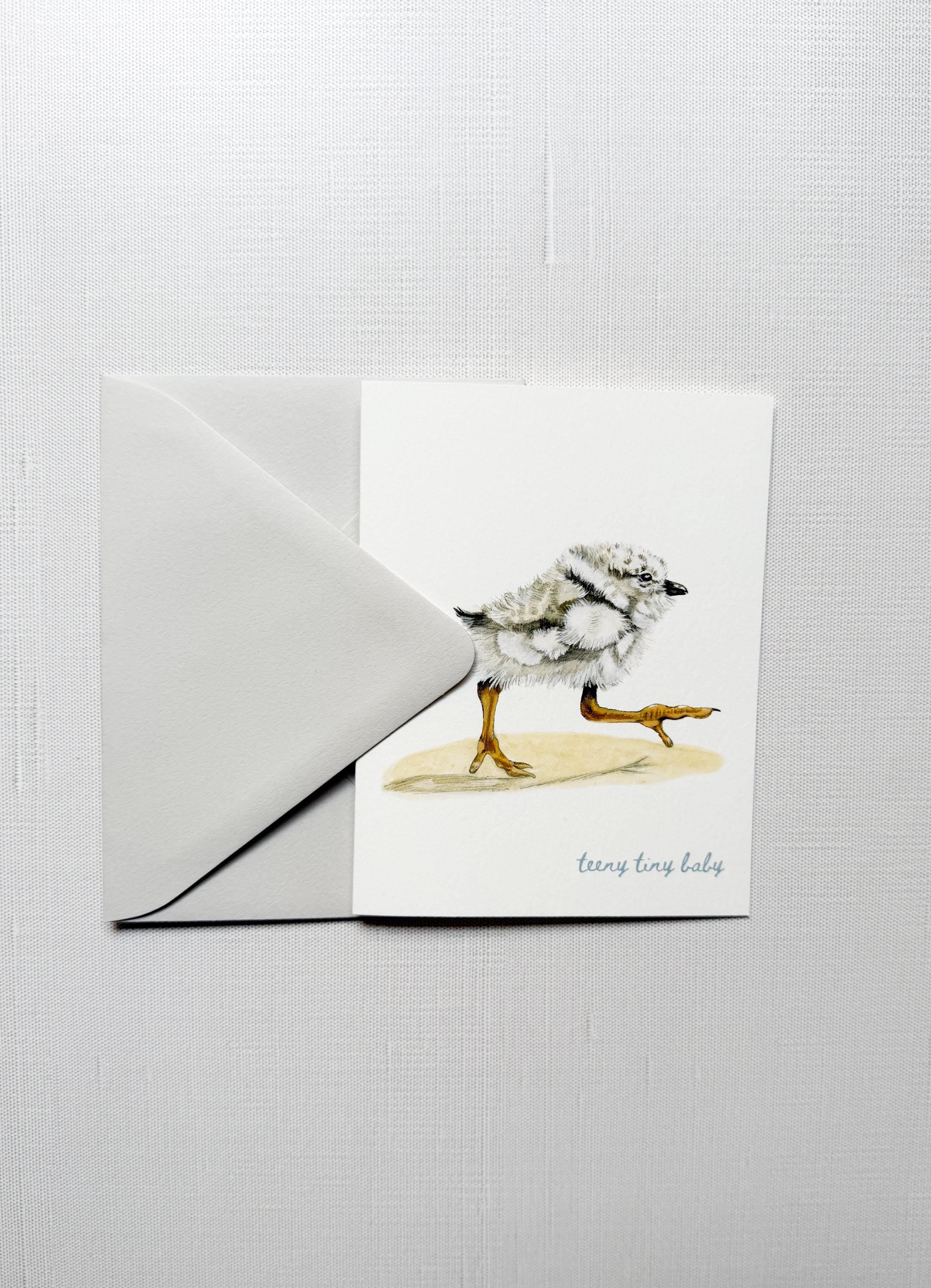 Piping Plover Baby Shower Card