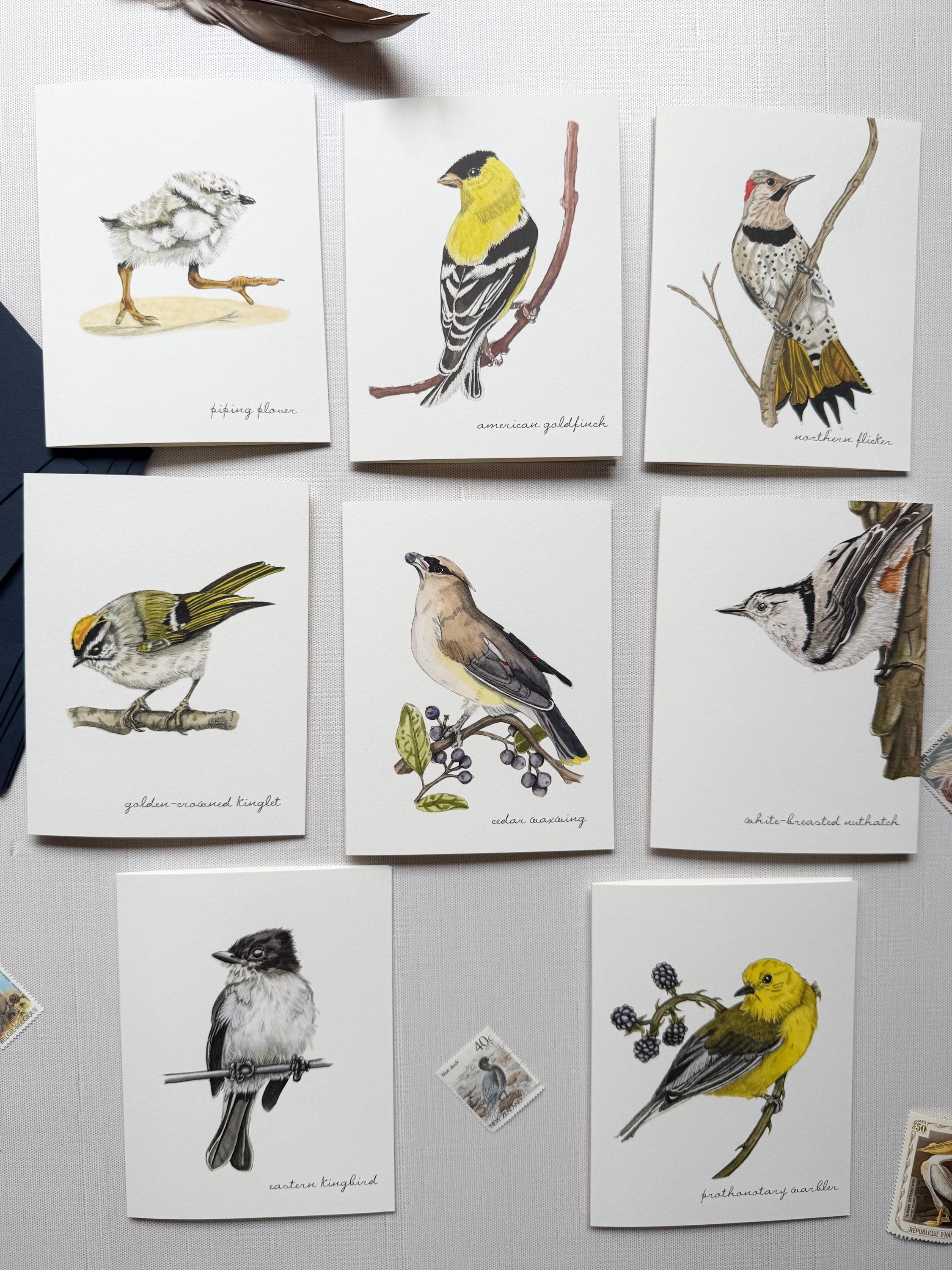 Boxed Watercolor Bird Greeting Cards