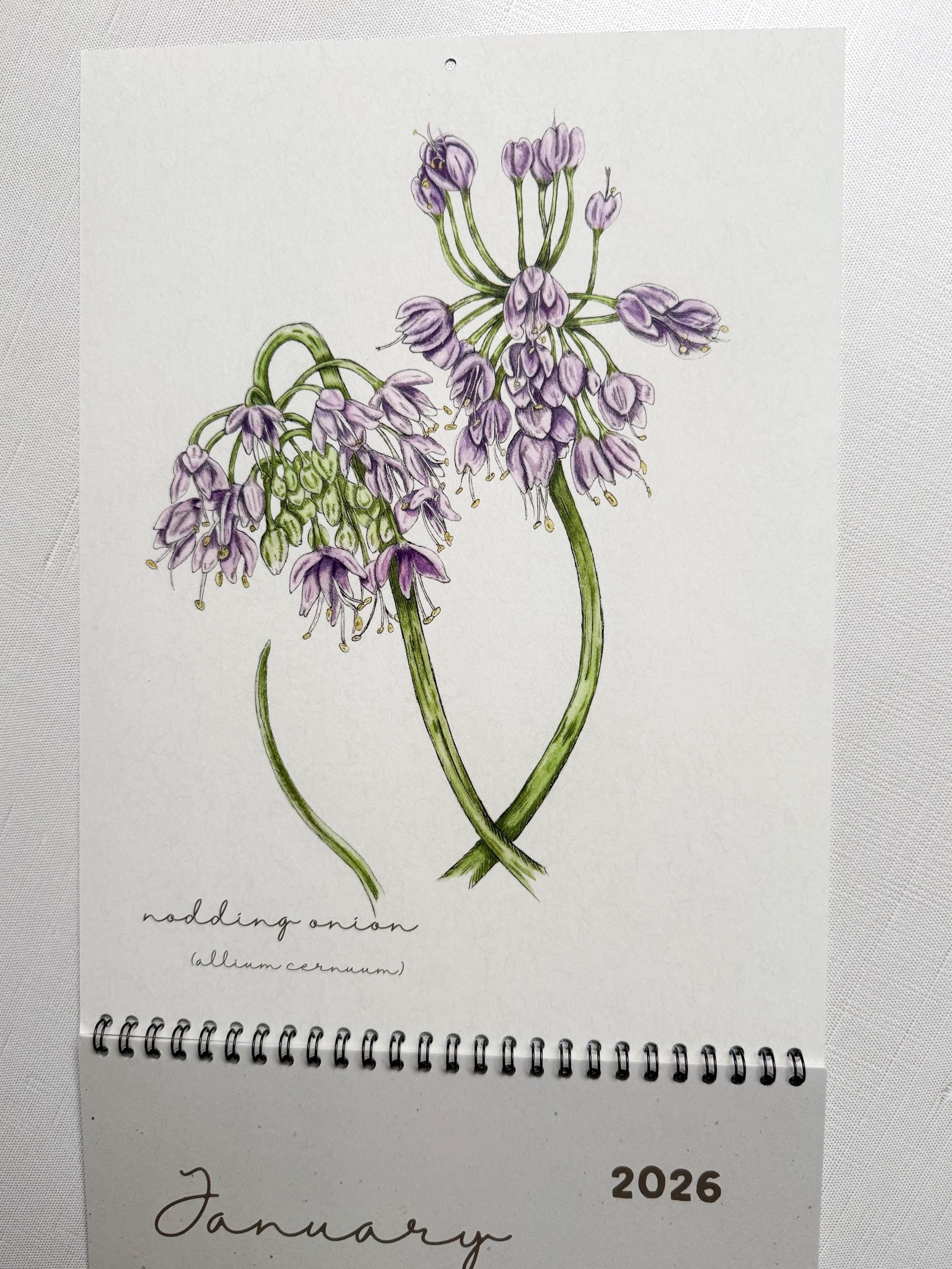 Botanical Native Plant Wall Calendar with Native Seed Packet