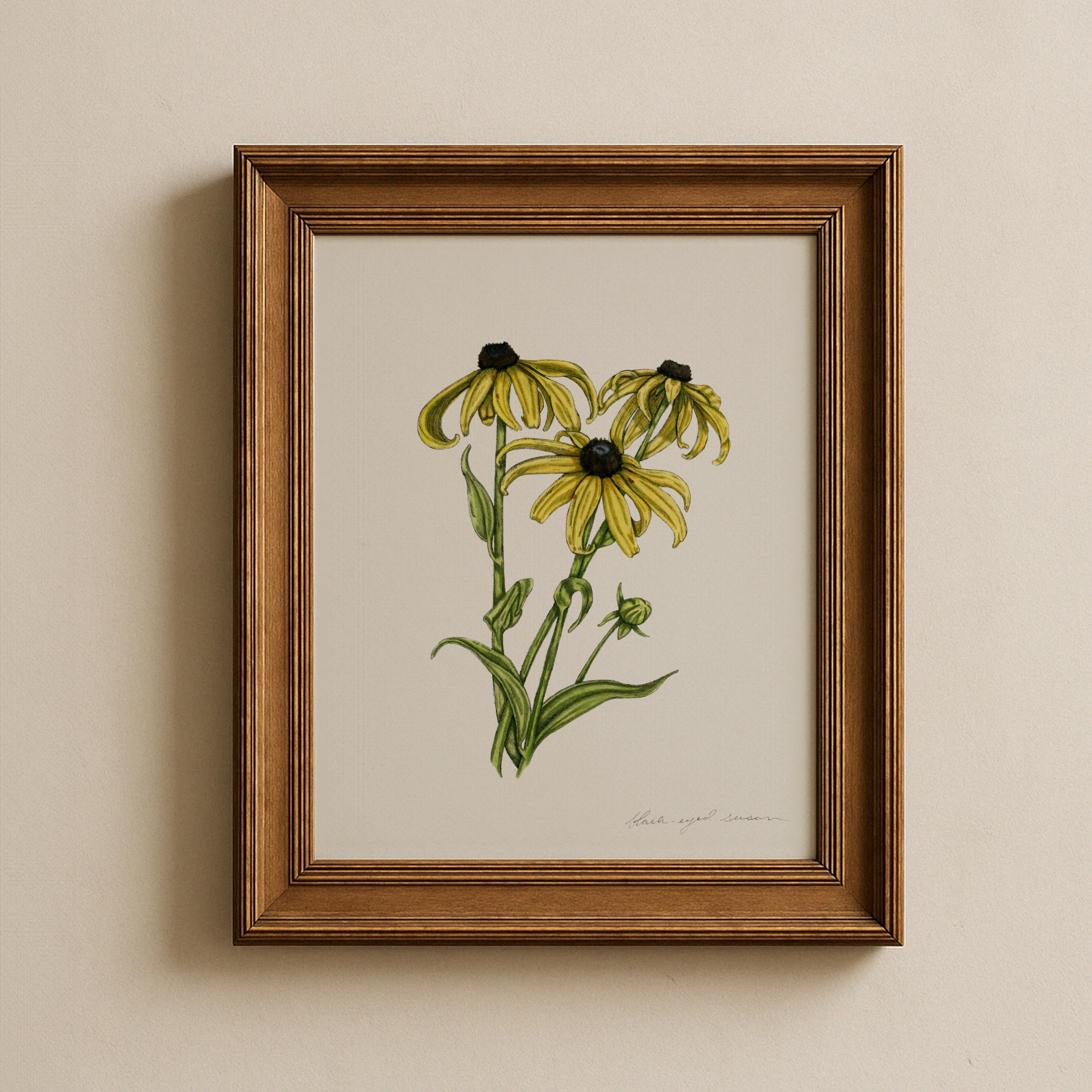 Black-eyed Susan Print