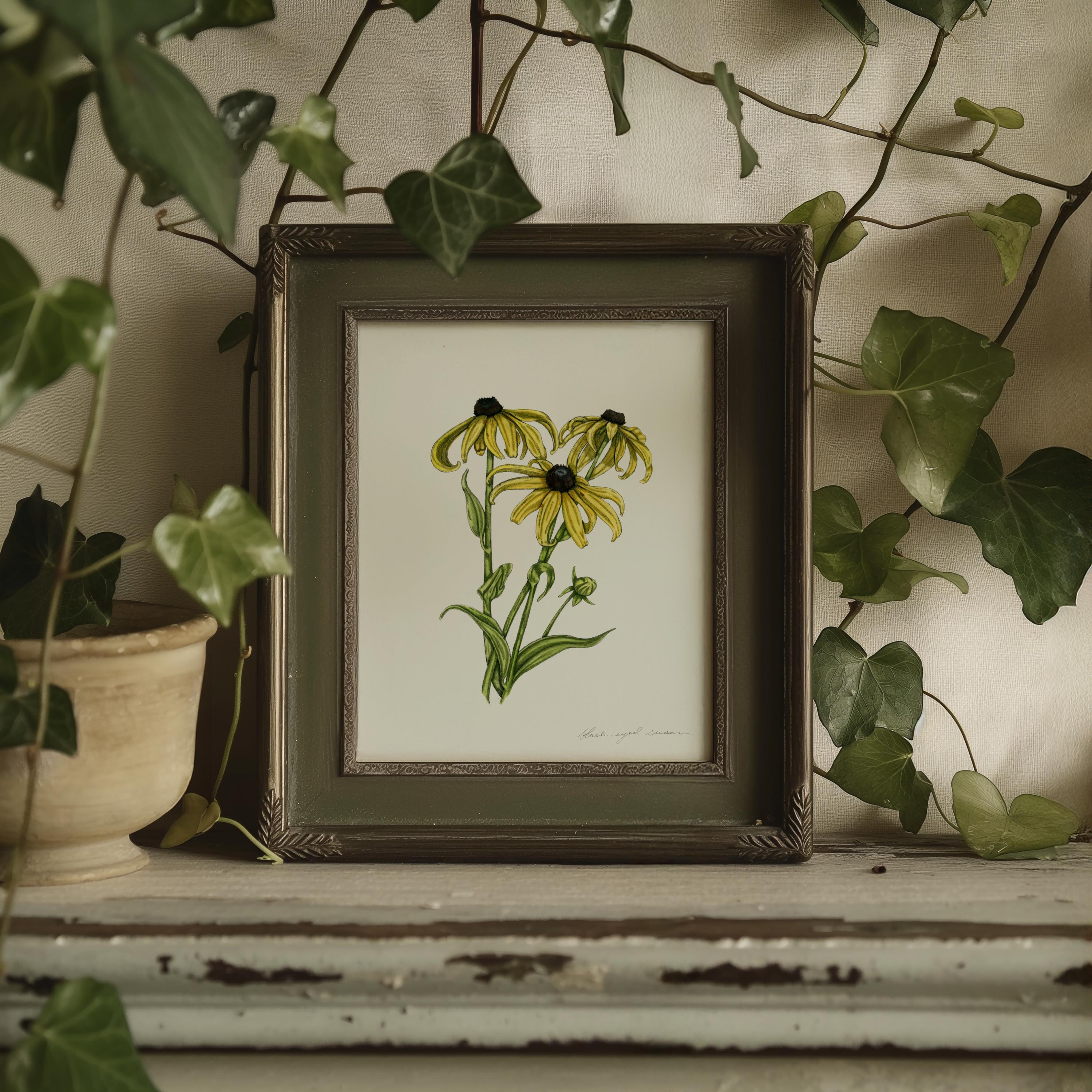 Black-eyed Susan Print