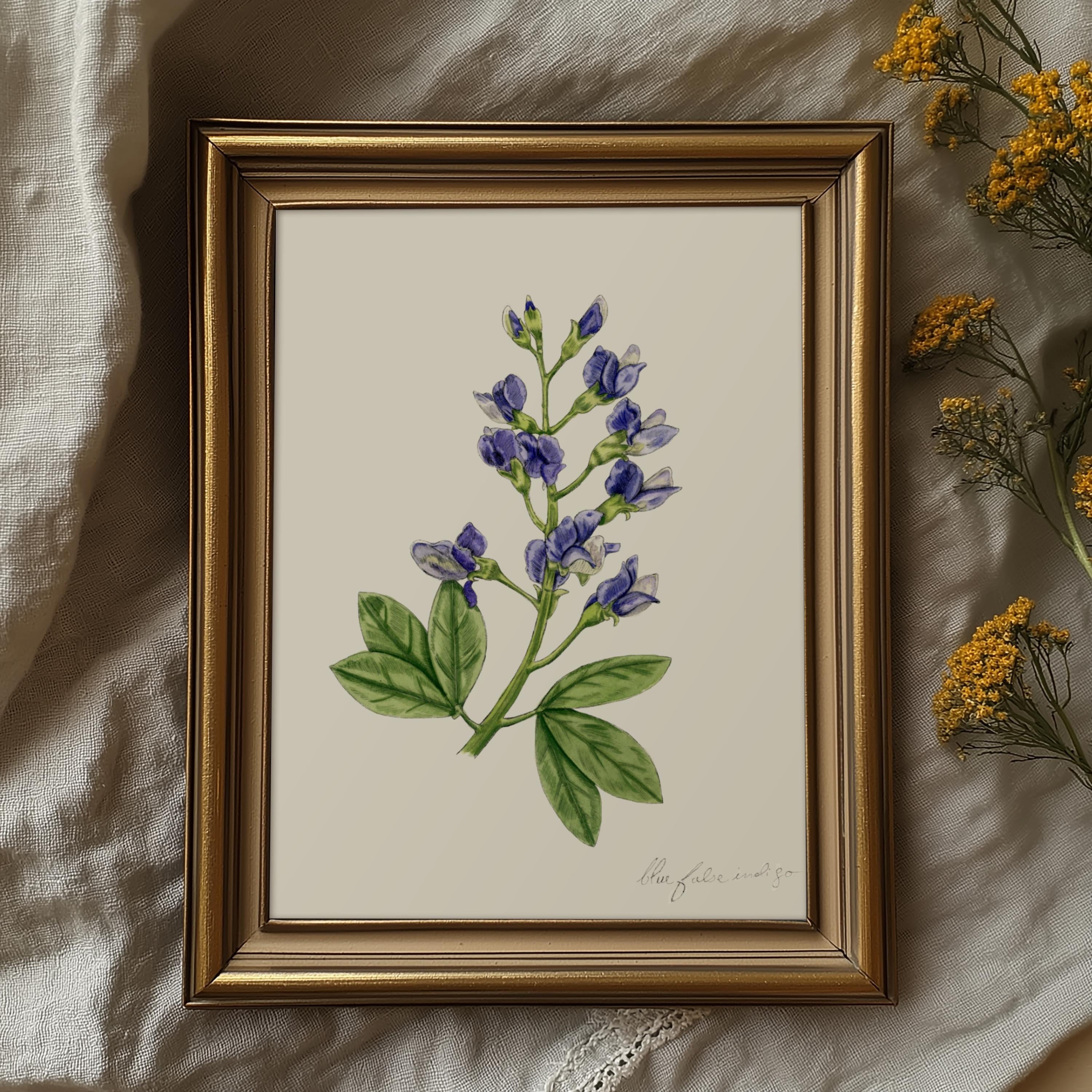 Blue False Indigo Print